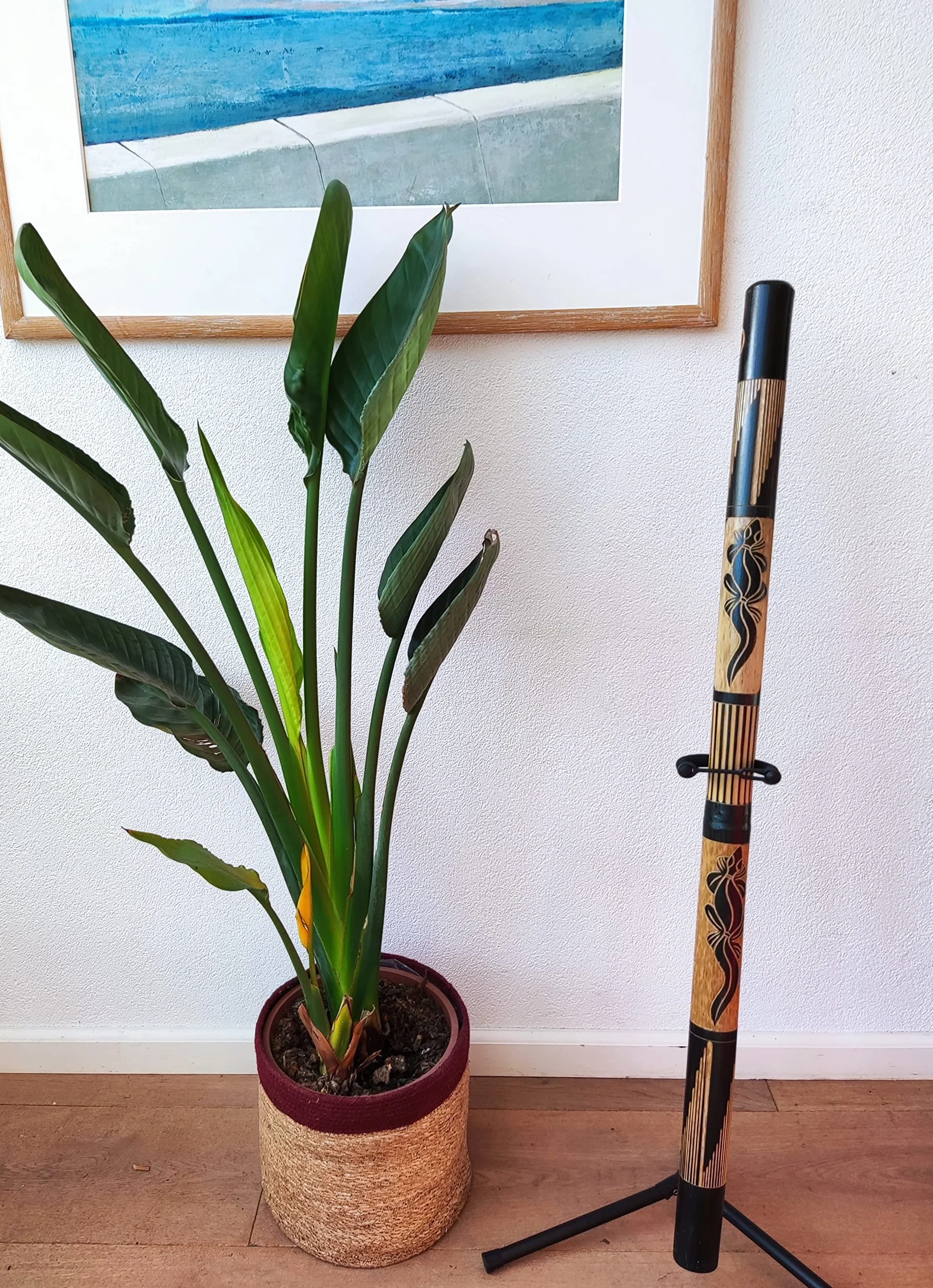 Australian Treasures bambou didgeridoo avec stand