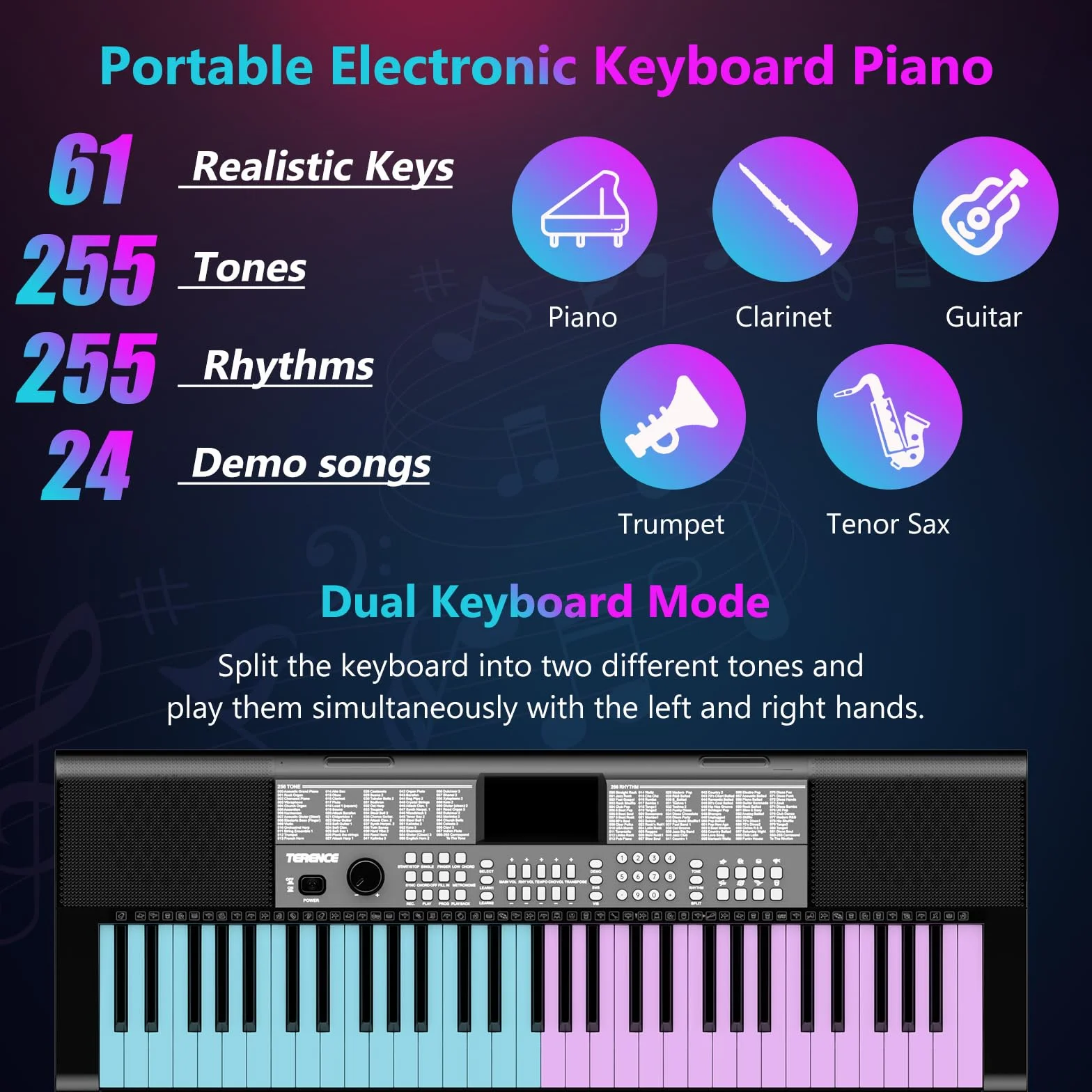 TERENCE Piano Numérique 61 Touches Double Haut-parleur HiFi Clavier LED 2 Options d'alimentation