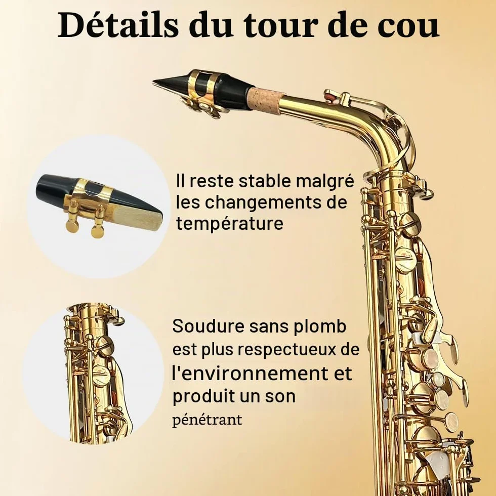 Saxophone Alto Mi Bémol pour débutants adultes kit complet avec étui rigide et accessoires