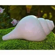 Conque Soufflante Religieuse 7,6 cm Temple Havan Pooja