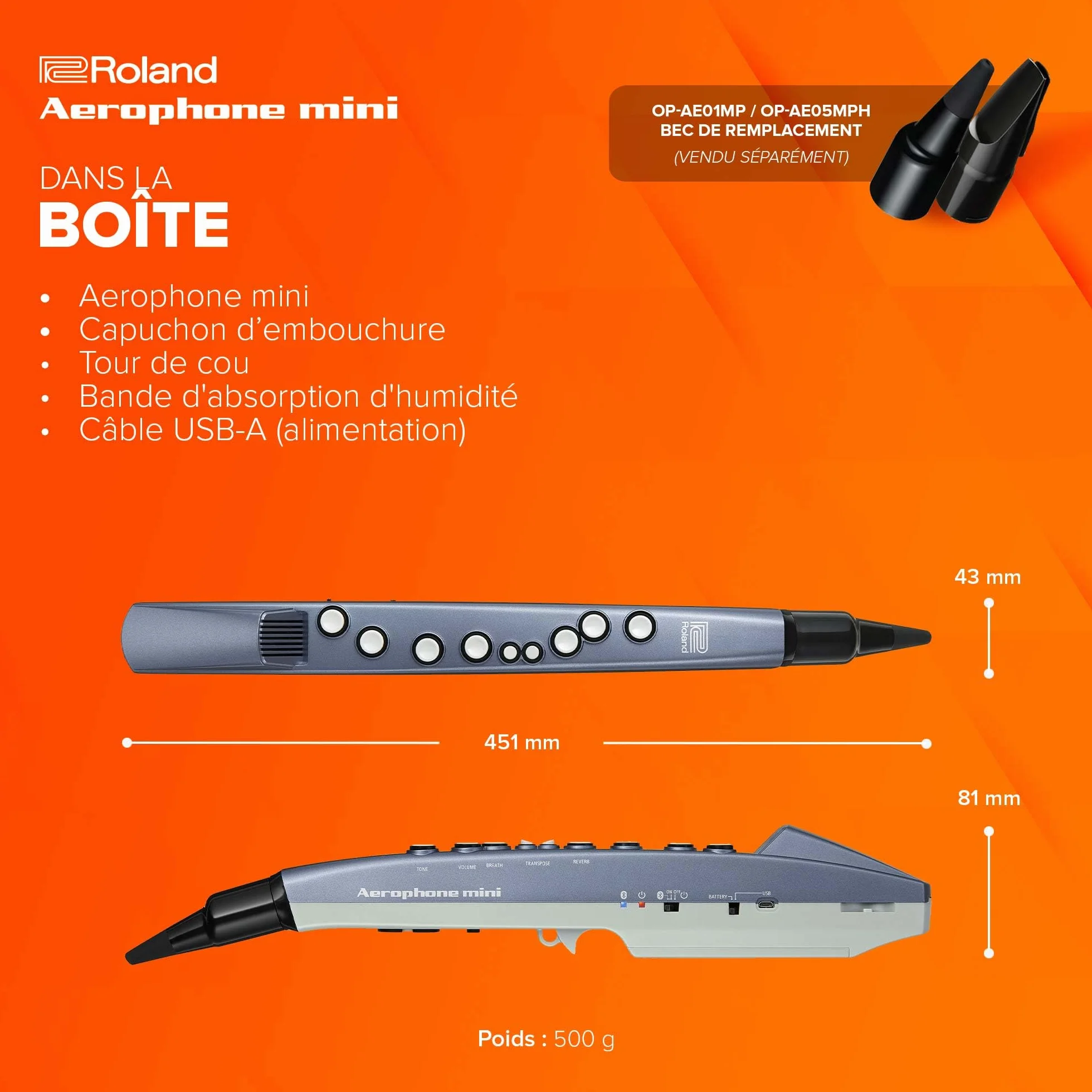 Roland AE-01 Aerophone mini Instrument à vent numérique compact 6 sons Haut-parleur intégré Bluetooth
