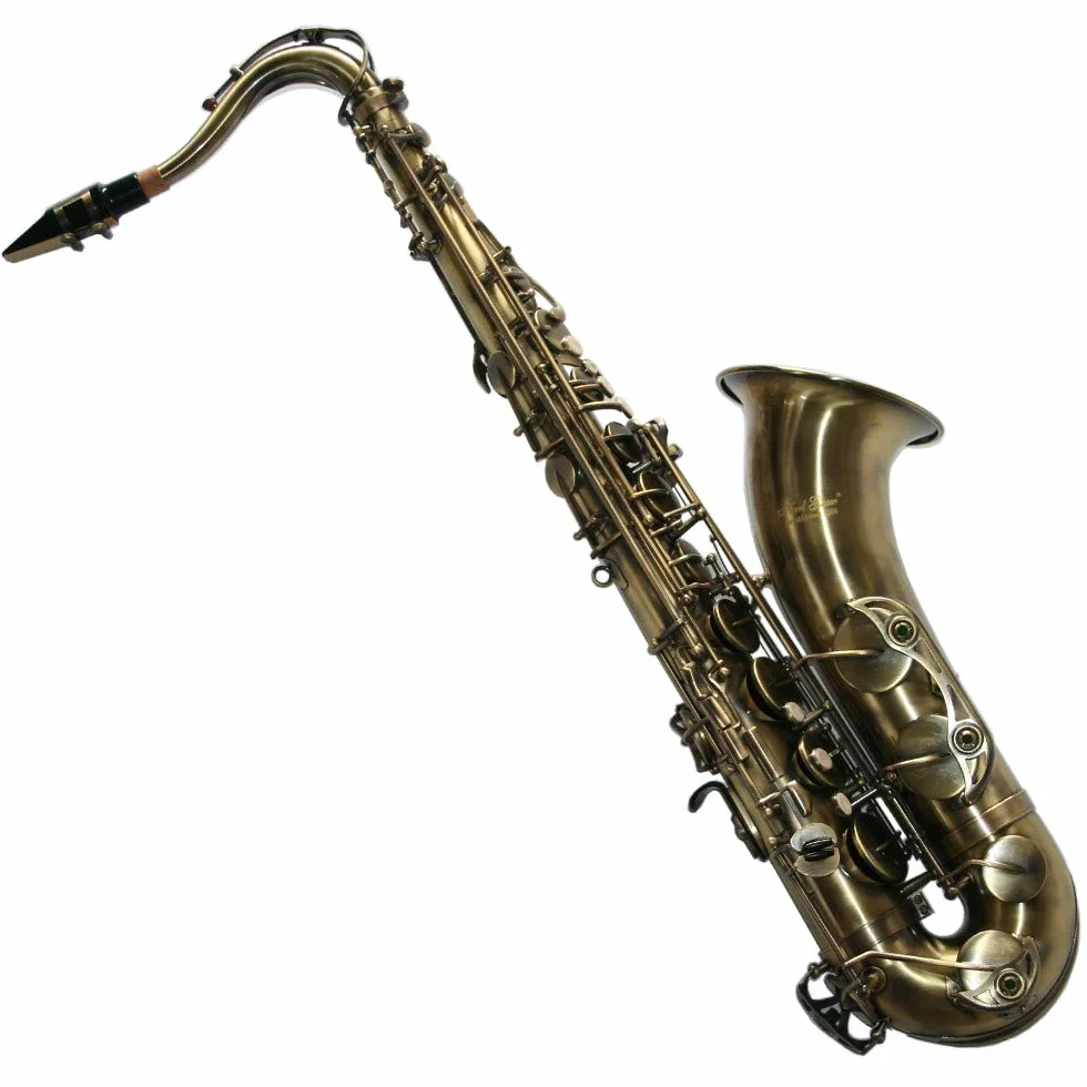Saxophone Ténor Antique Bronze Laiton Laqué avec Étui Souple