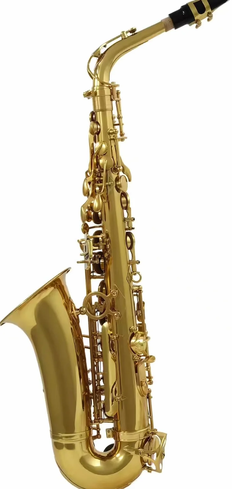 Woodbrass WSA300 Saxophone Alto Mi♭ Verni Laiton Verni Instrument à vent Débutant Prêt à Jouer Étui Accessoires Inclus