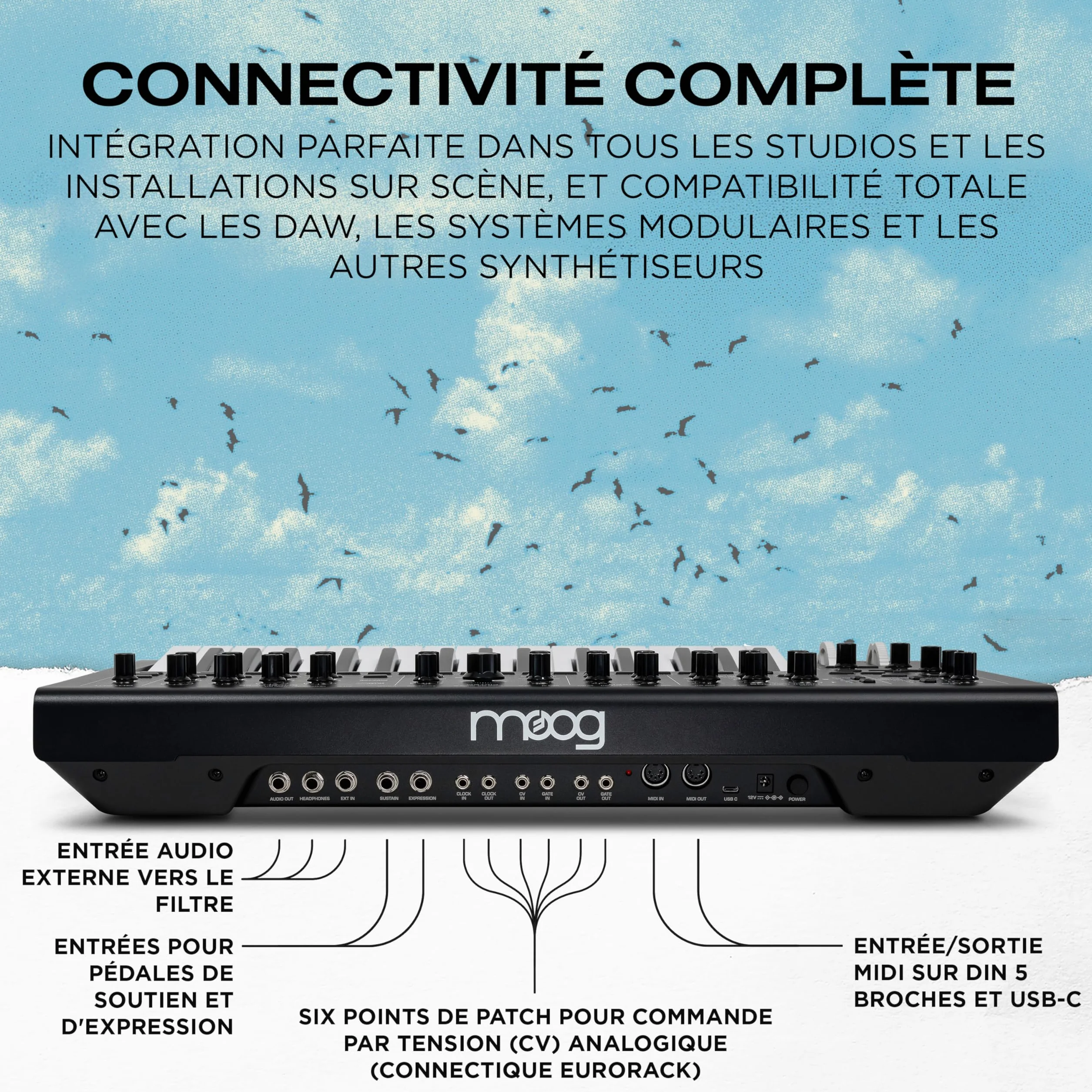 MOOG Messenger Synthétiseur Monophonique Analogique 32 Touches Séquenceur 64 Pas