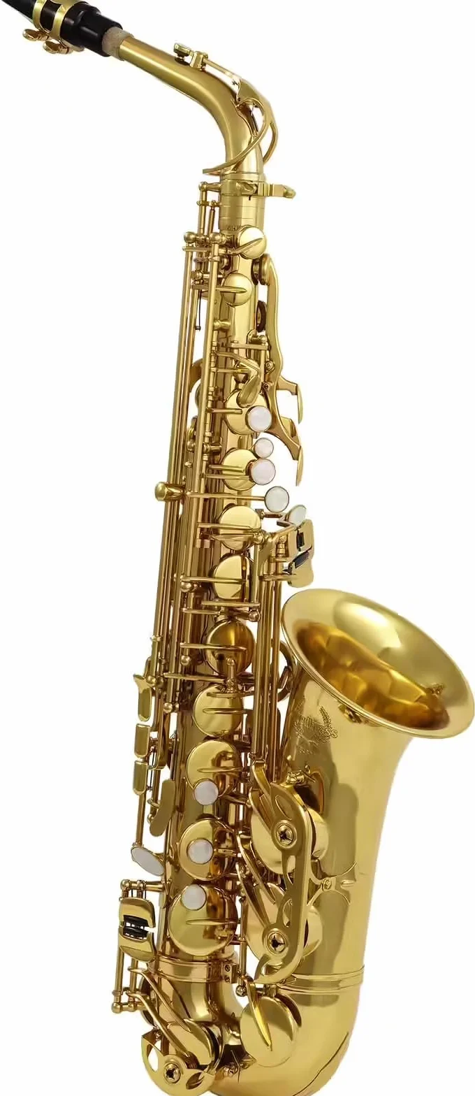 Woodbrass WSA300 Saxophone Alto Mi♭ Verni Laiton Verni Instrument à vent Débutant Prêt à Jouer Étui Accessoires Inclus