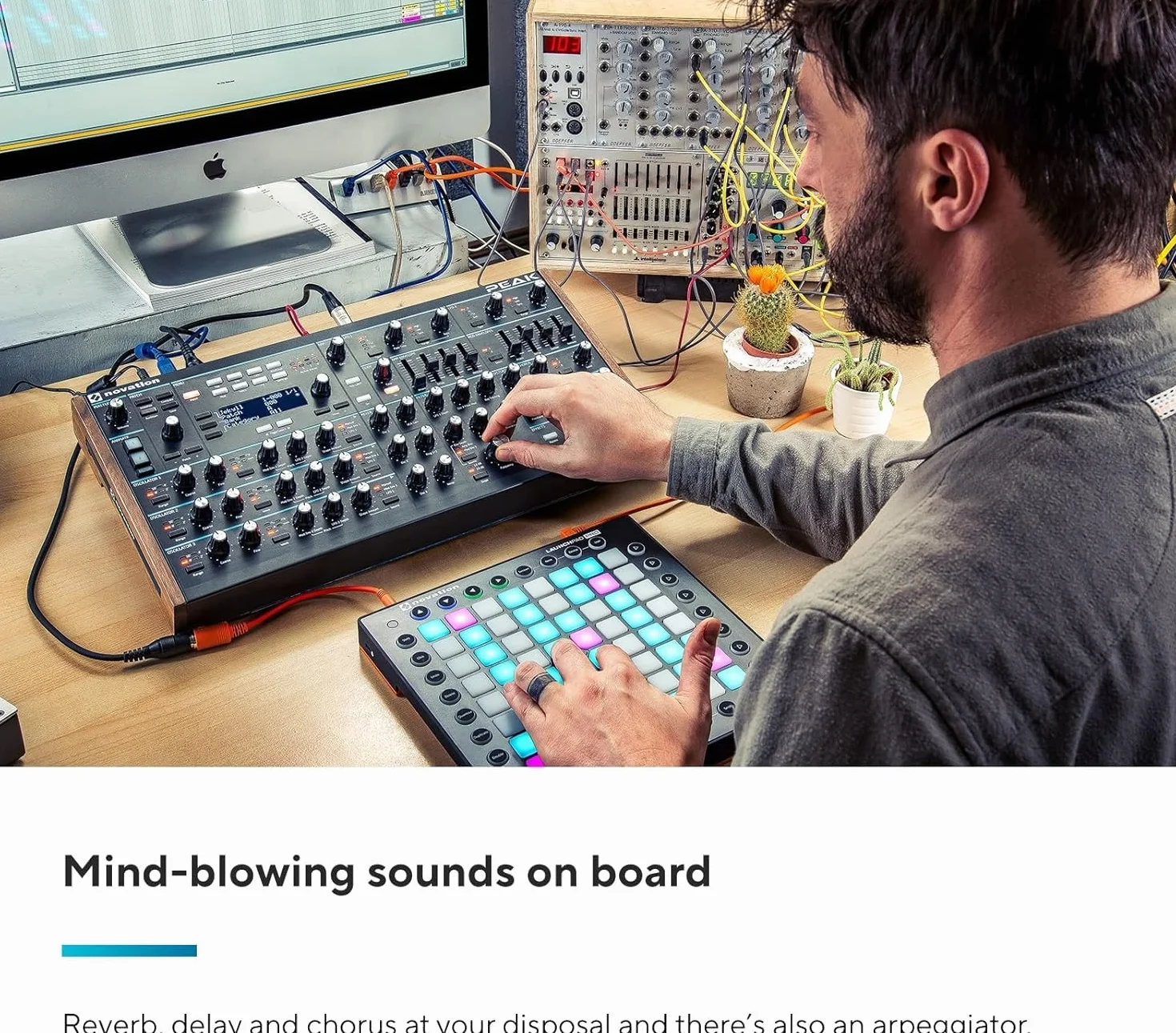 Novation Peak Synthétiseur polyphonique 8 voix desktop
