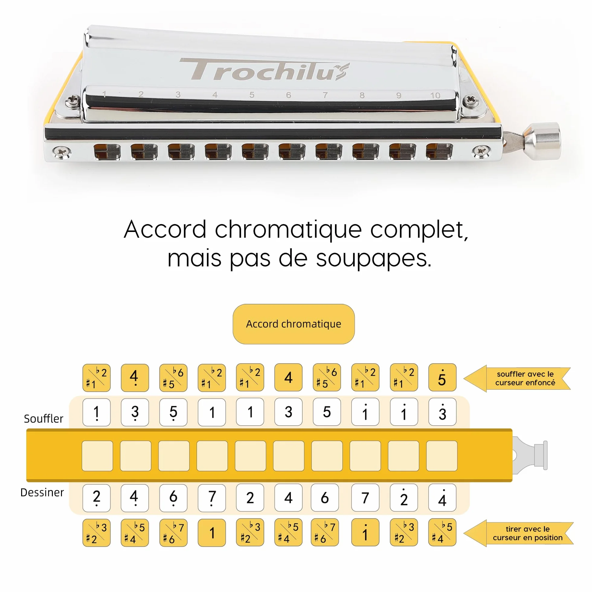 JDR Trochilus Harmonica Chromatique 10 Trous Clé de C avec Étui