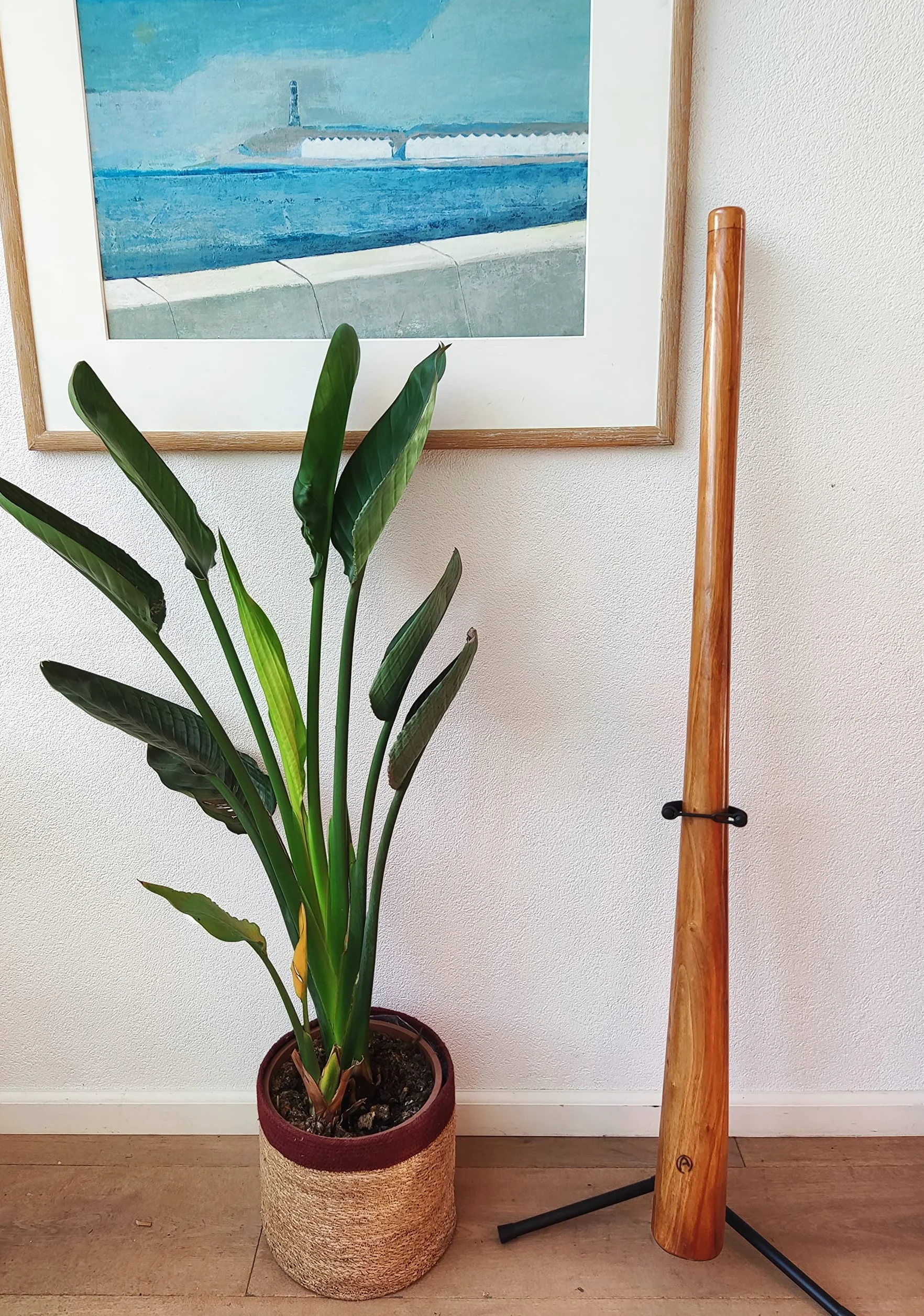 Didgeridoo Acajou PRO 147cm avec sac en nylon