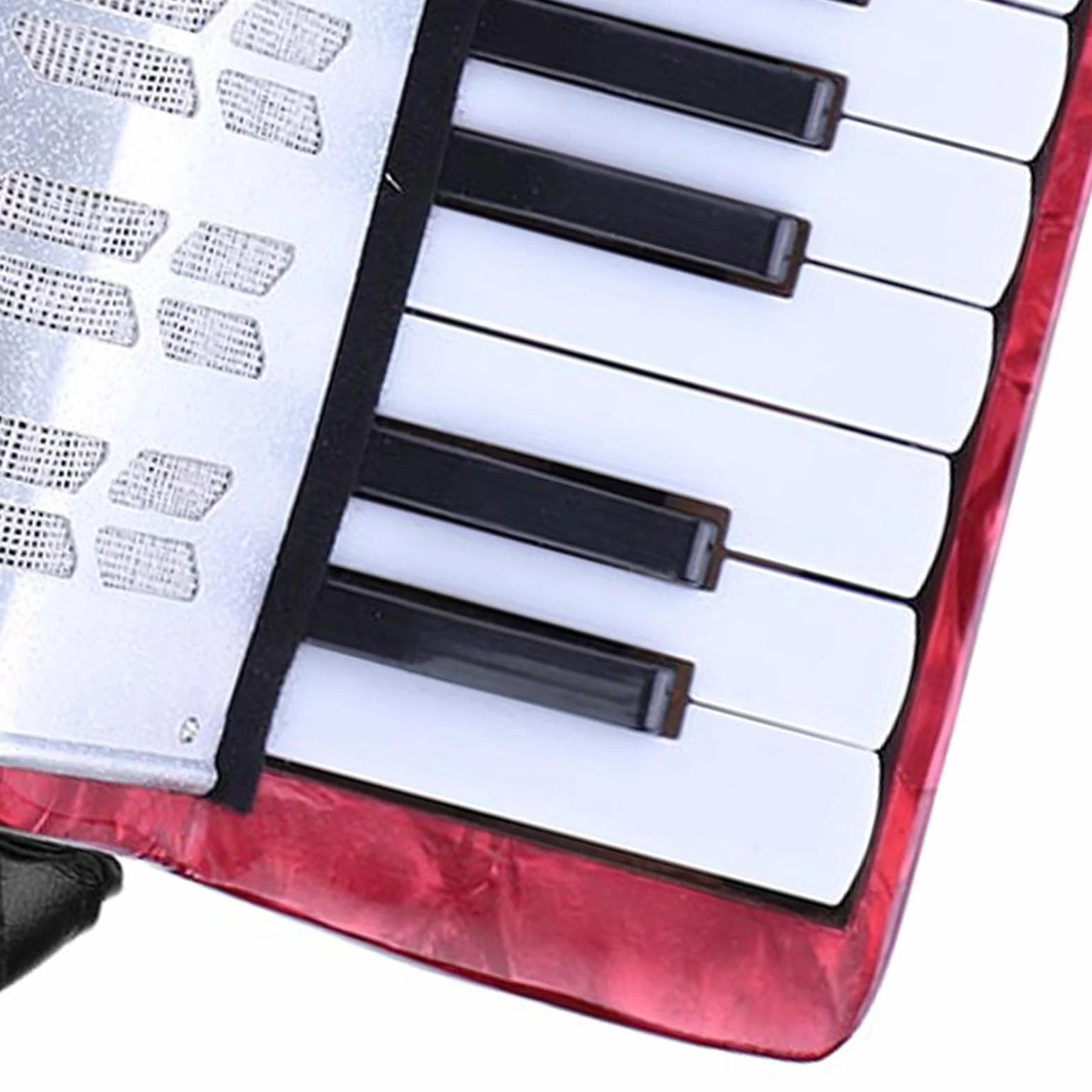 Accordéon Celluloïd 17 Touches 8 Basses pour Débutants Adultes, Portable avec Sangle Réglable