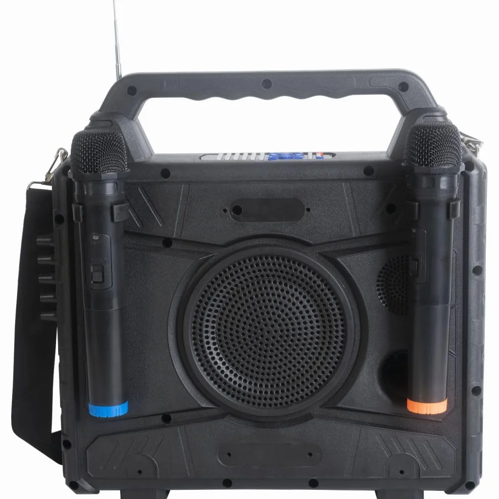 Ibiza Enceinte Karaoke sans Fil Nomade avec écran KARAVISION