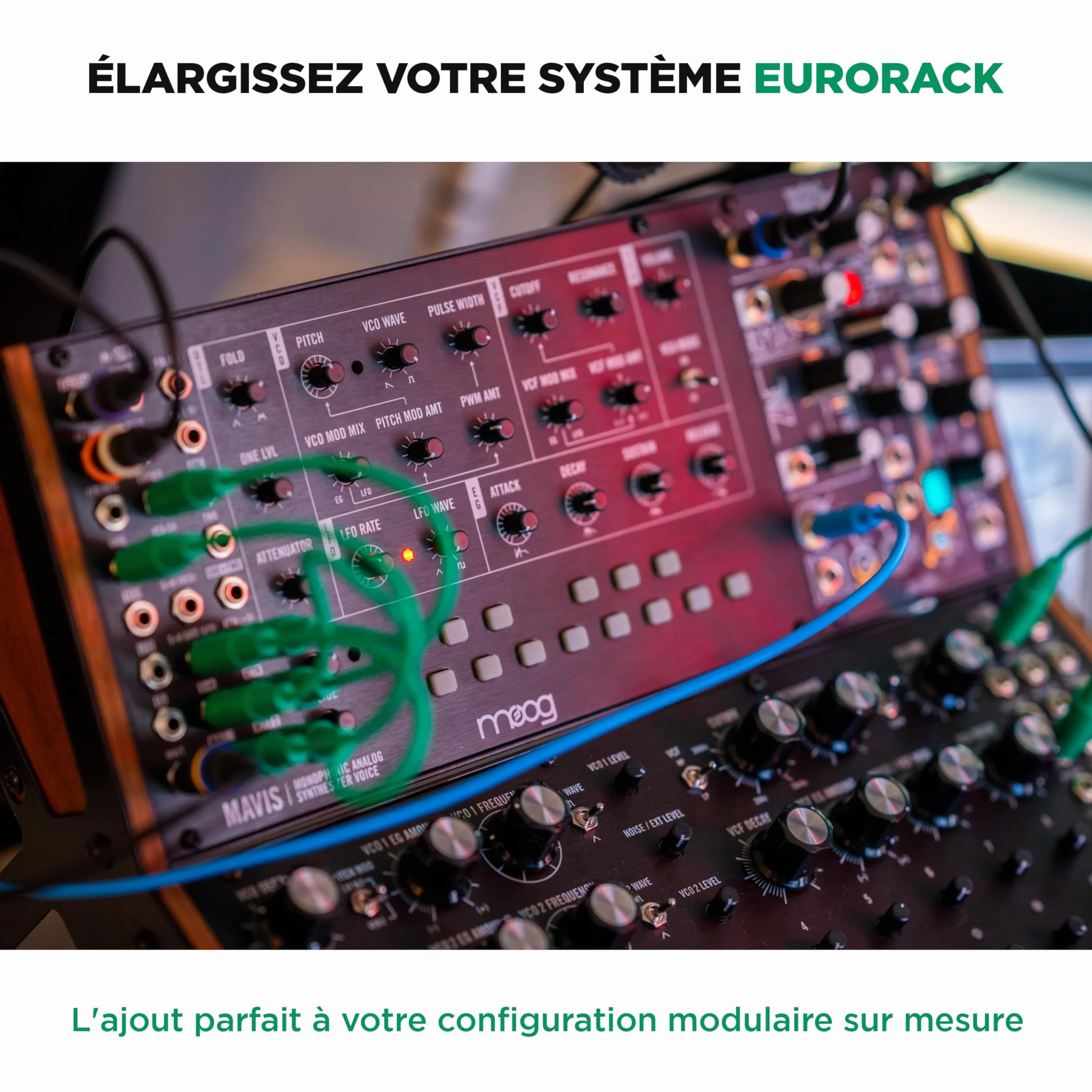 MOOG Mavis Synthétiseur Analogique Autonome Semi-Modulaire avec Clavier