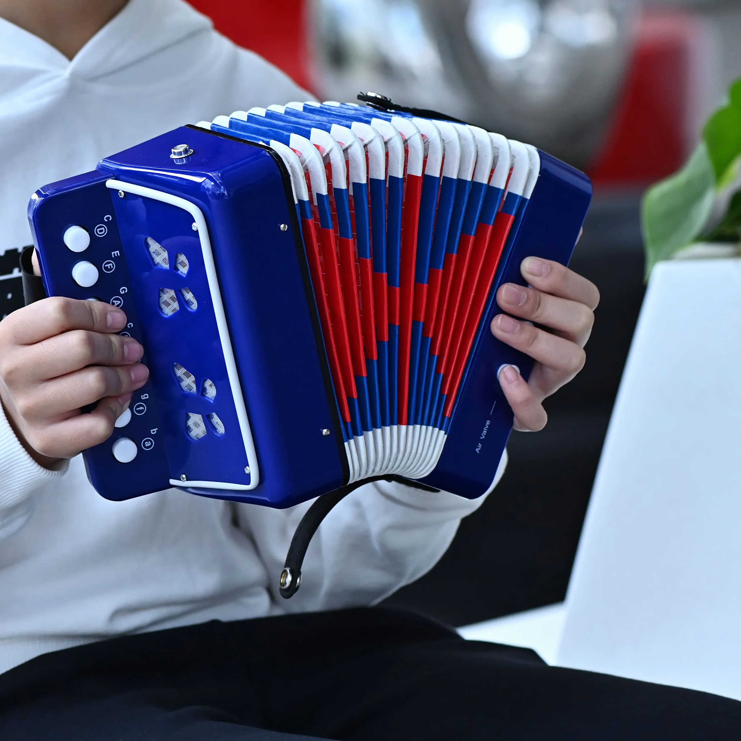 Accordéon 10 boutons soufflet bleu instrument de musique enfant adulte débutant