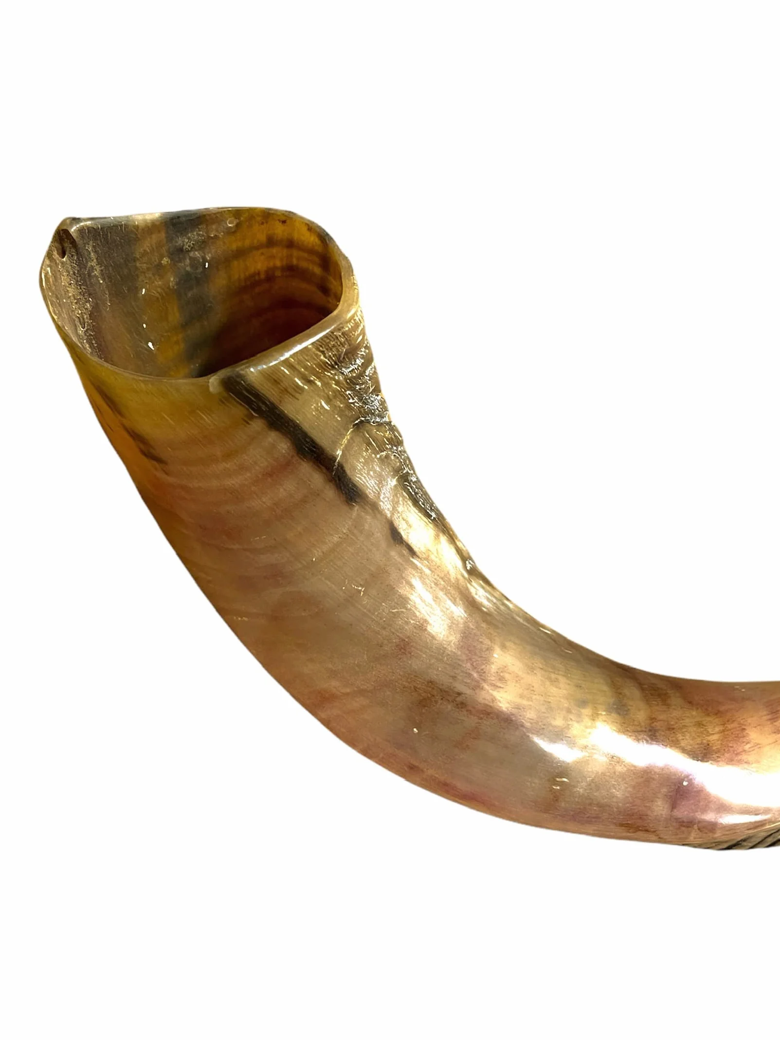 Kudu Naturel Corne 20-22 Shofar Moitié Polie Stérile Propre Perfect Sound