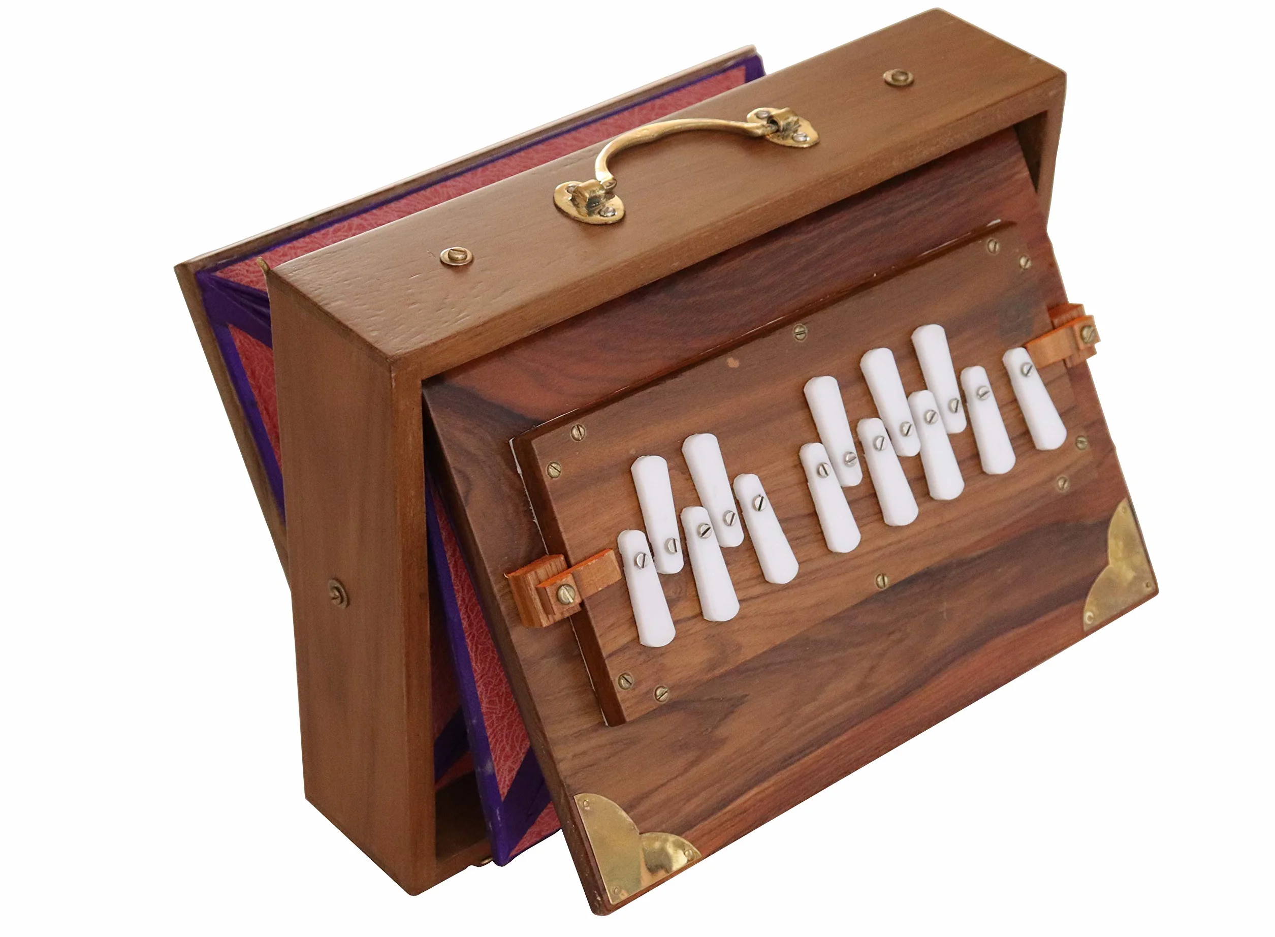 Shruti Box Raga Mini Teck 30 x 22 x 8,5 cm 2 kg Accordage 440 Hz
