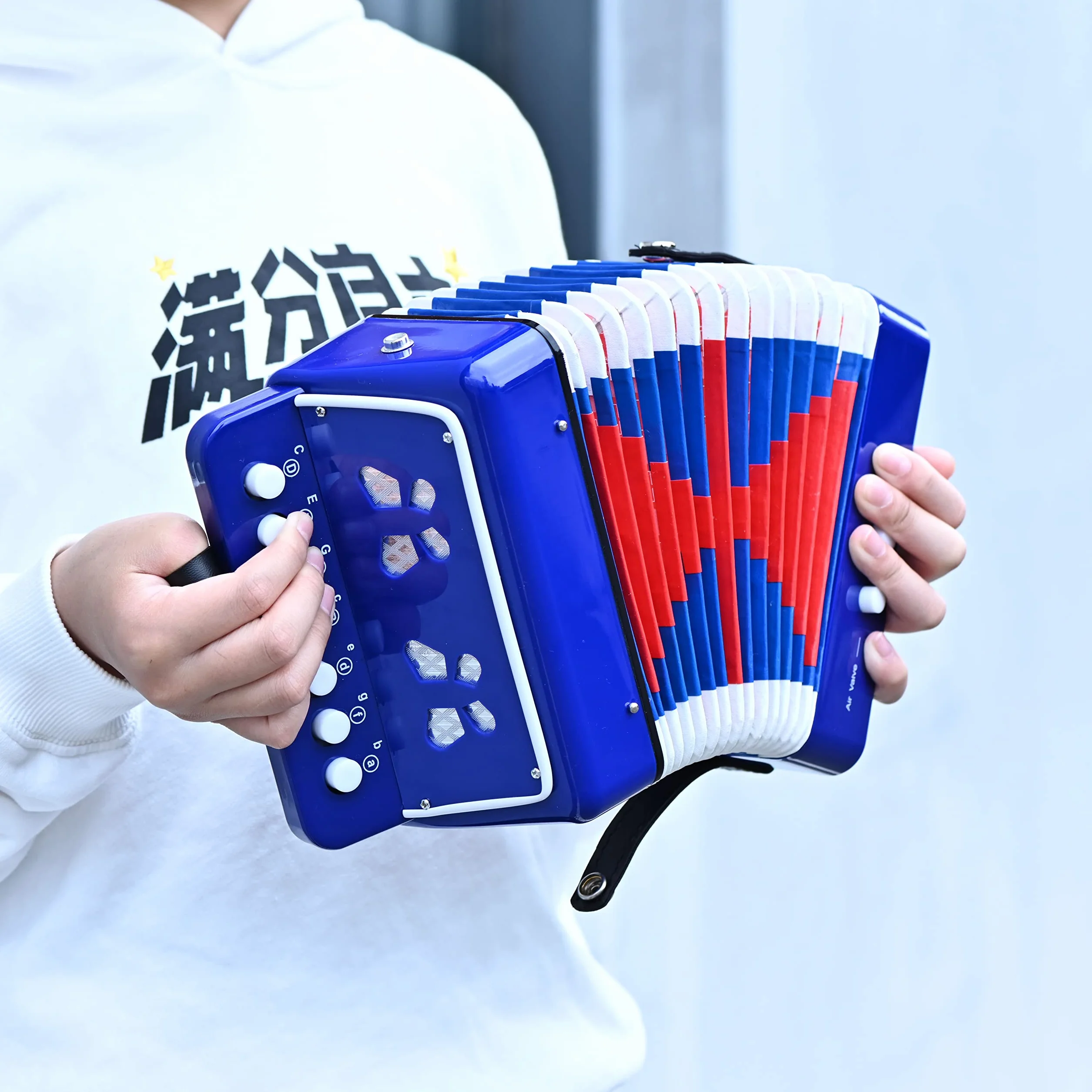 Accordéon 10 boutons soufflet bleu instrument de musique enfant adulte débutant