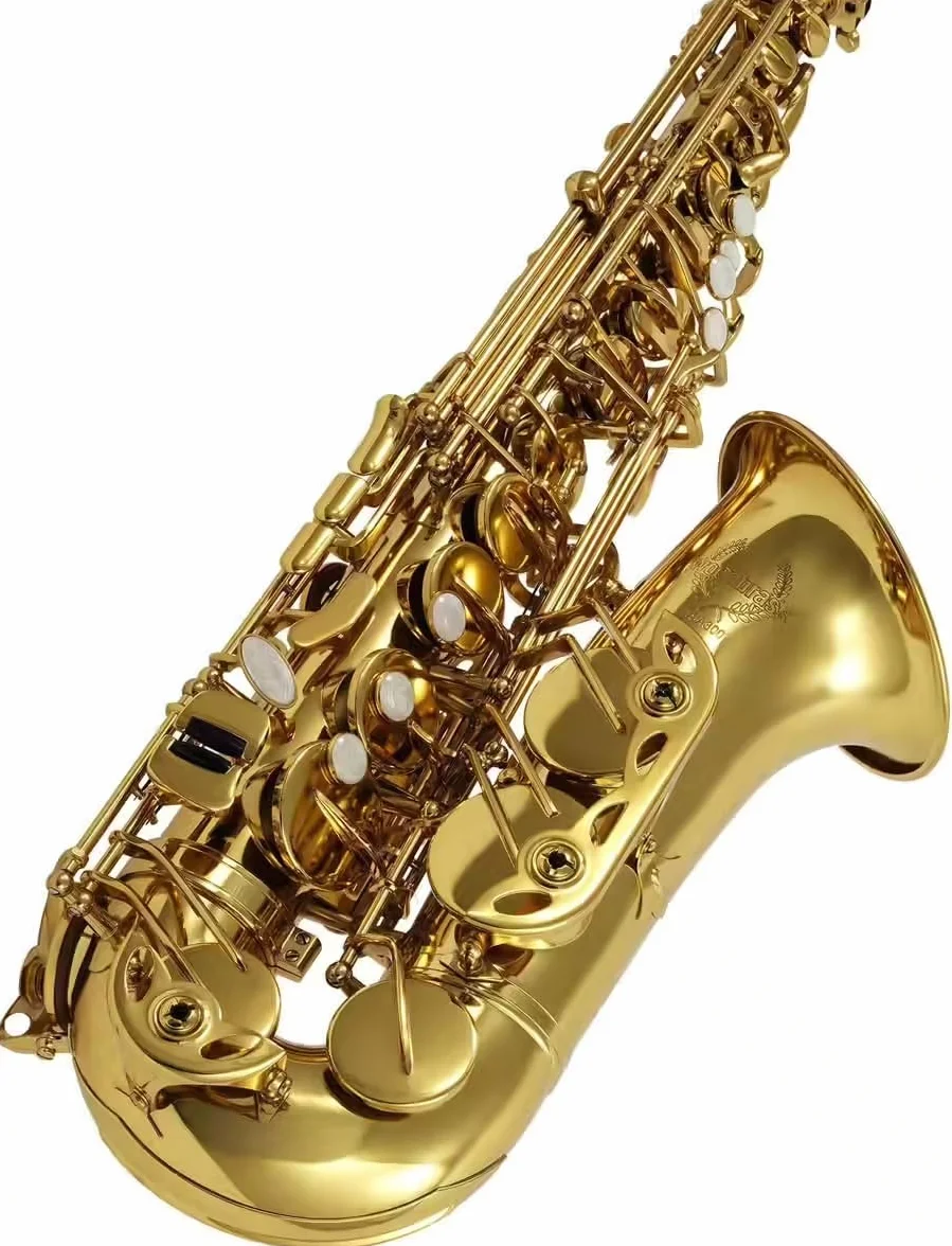 Woodbrass WSA300 Saxophone Alto Mi♭ Verni Laiton Verni Instrument à vent Débutant Prêt à Jouer Étui Accessoires Inclus