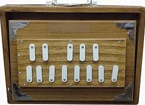 Shruti Box 30,5 cm instrument de musique accordé 432 Hz bois de teck sac de transport