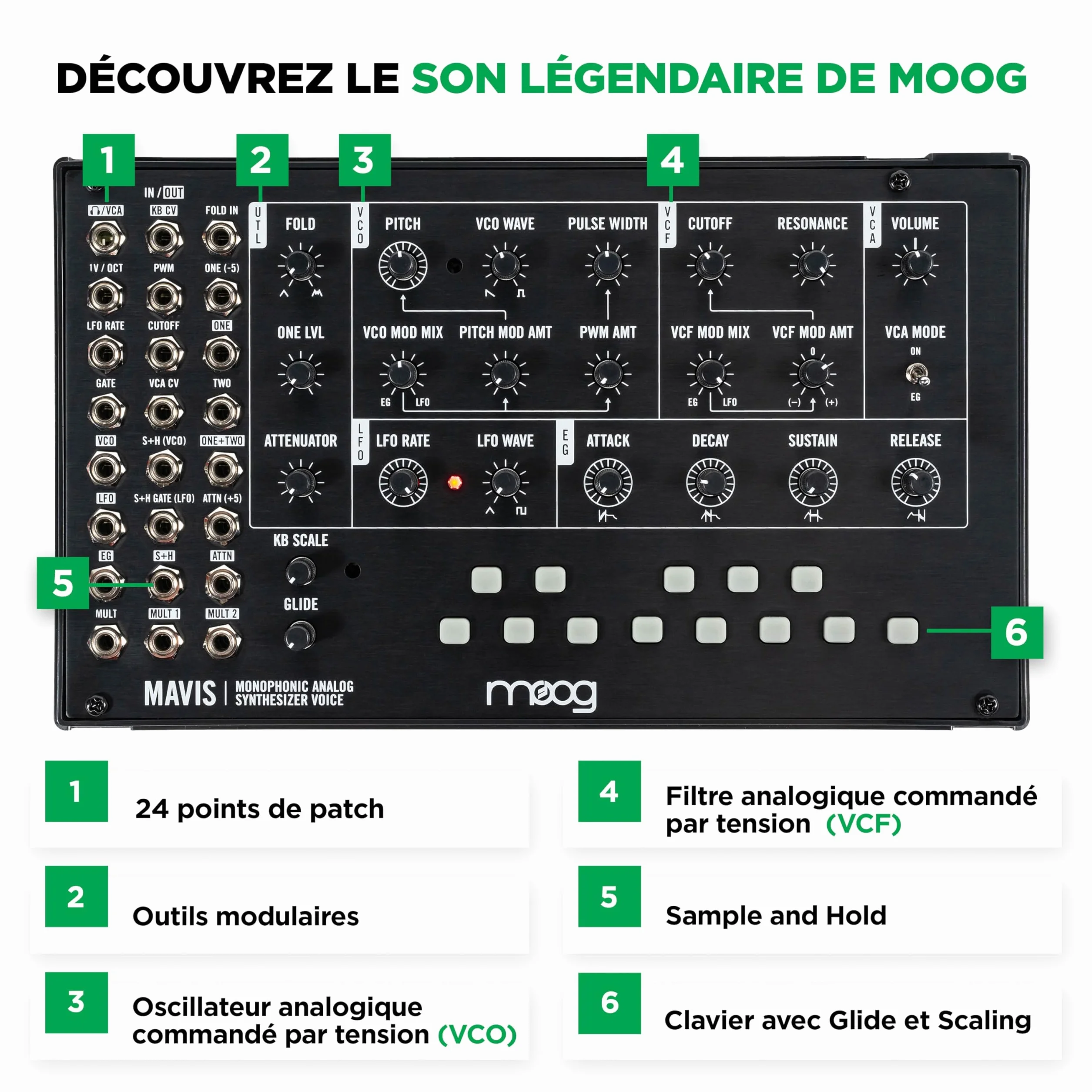 MOOG Mavis Synthétiseur Analogique Autonome Semi-Modulaire avec Clavier