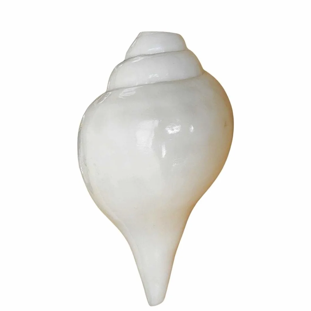 Coquillage Shankh blanc naturel 12,7 cm pour Pooja Feng Shui décoration intérieur
