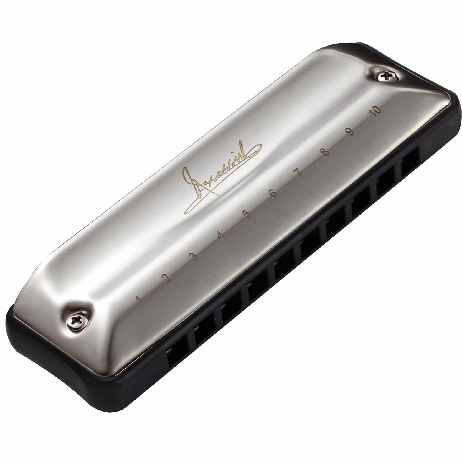 Harmonica de blues en D 10 trous 20 tons pour adultes et enfants débutants avec étui