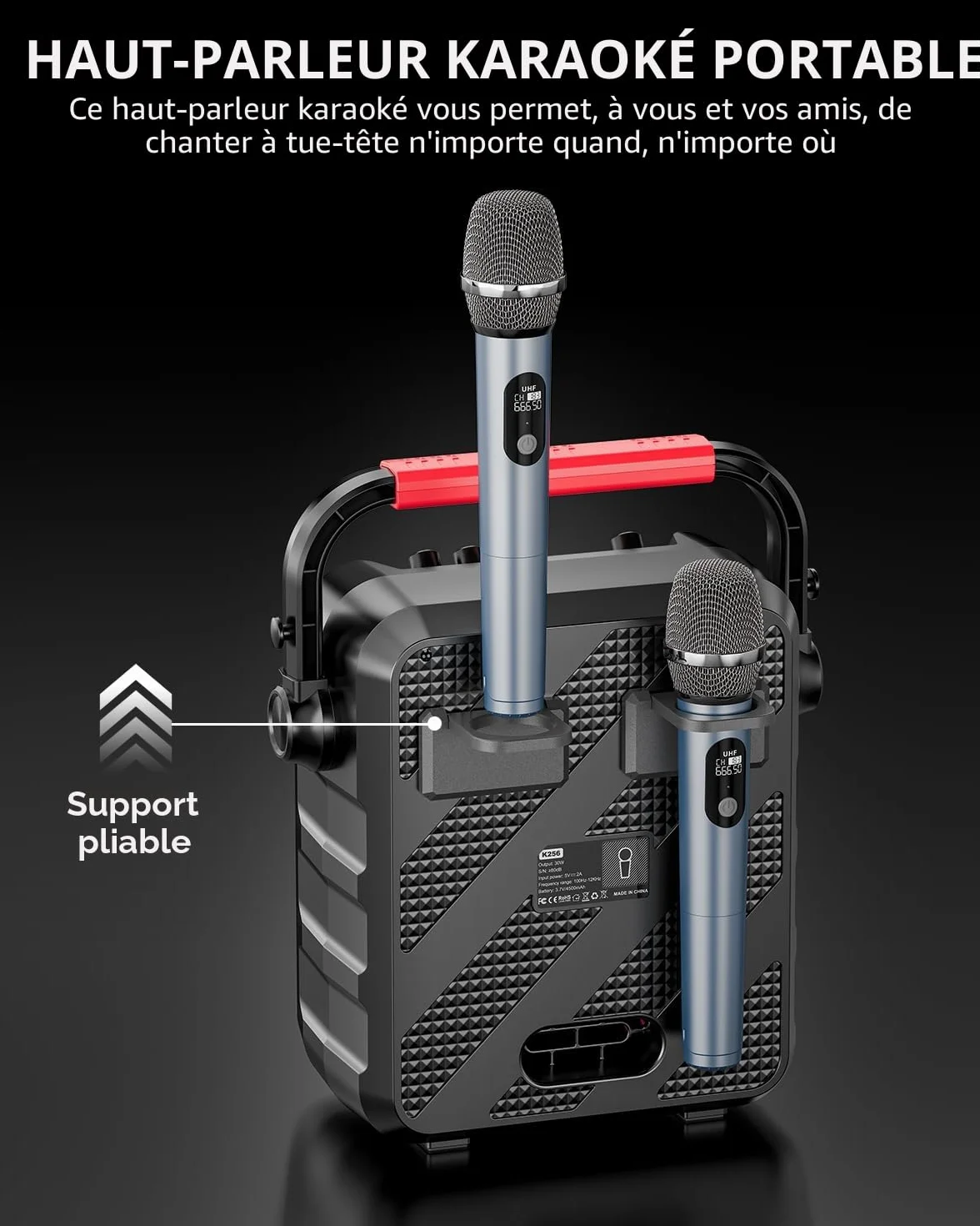 Machine karaoké pour Adultes Enceinte Bluetooth Portable 2 Microphones Professionnel LED USB TF AUX MIC TWS