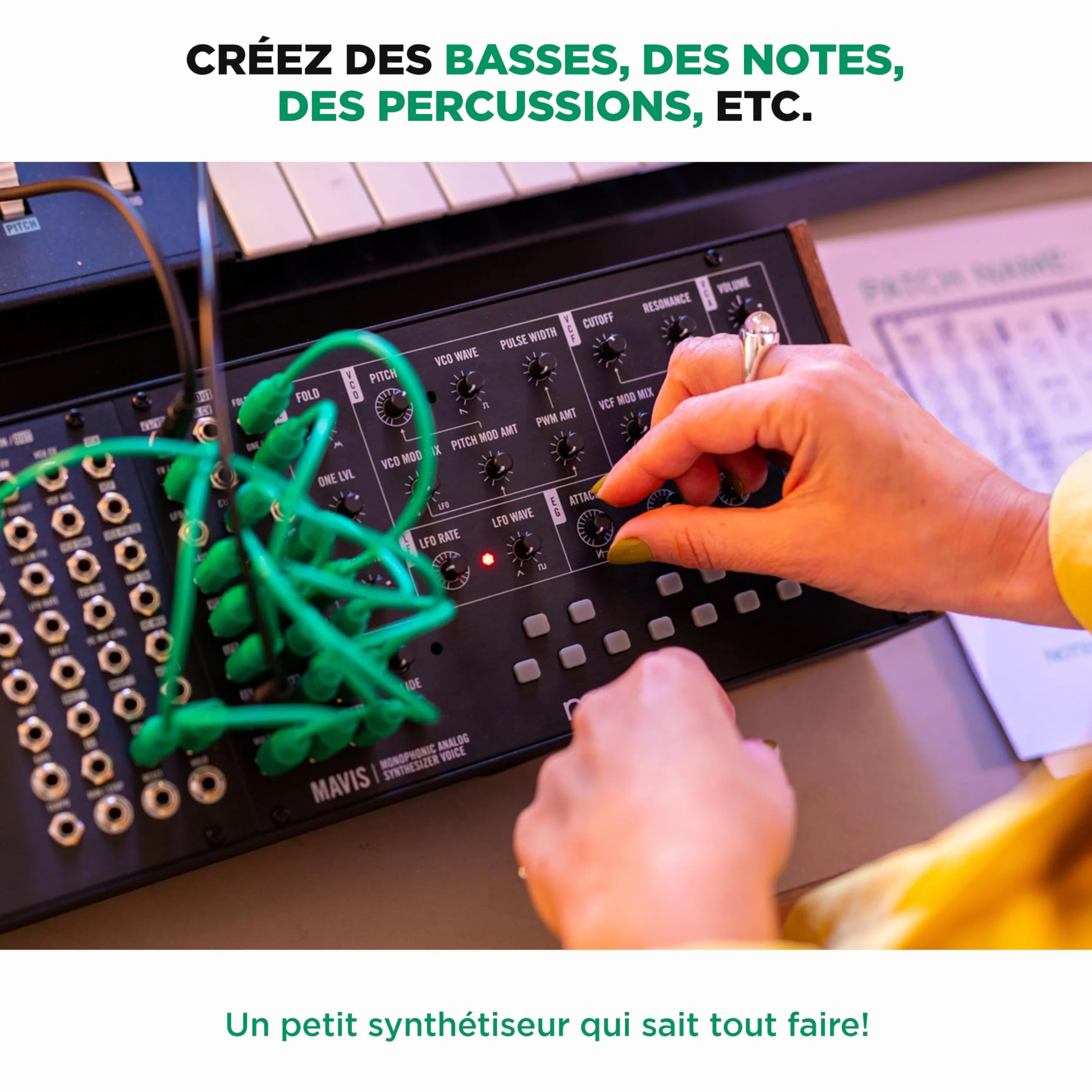 MOOG Mavis Synthétiseur Analogique Autonome Semi-Modulaire avec Clavier