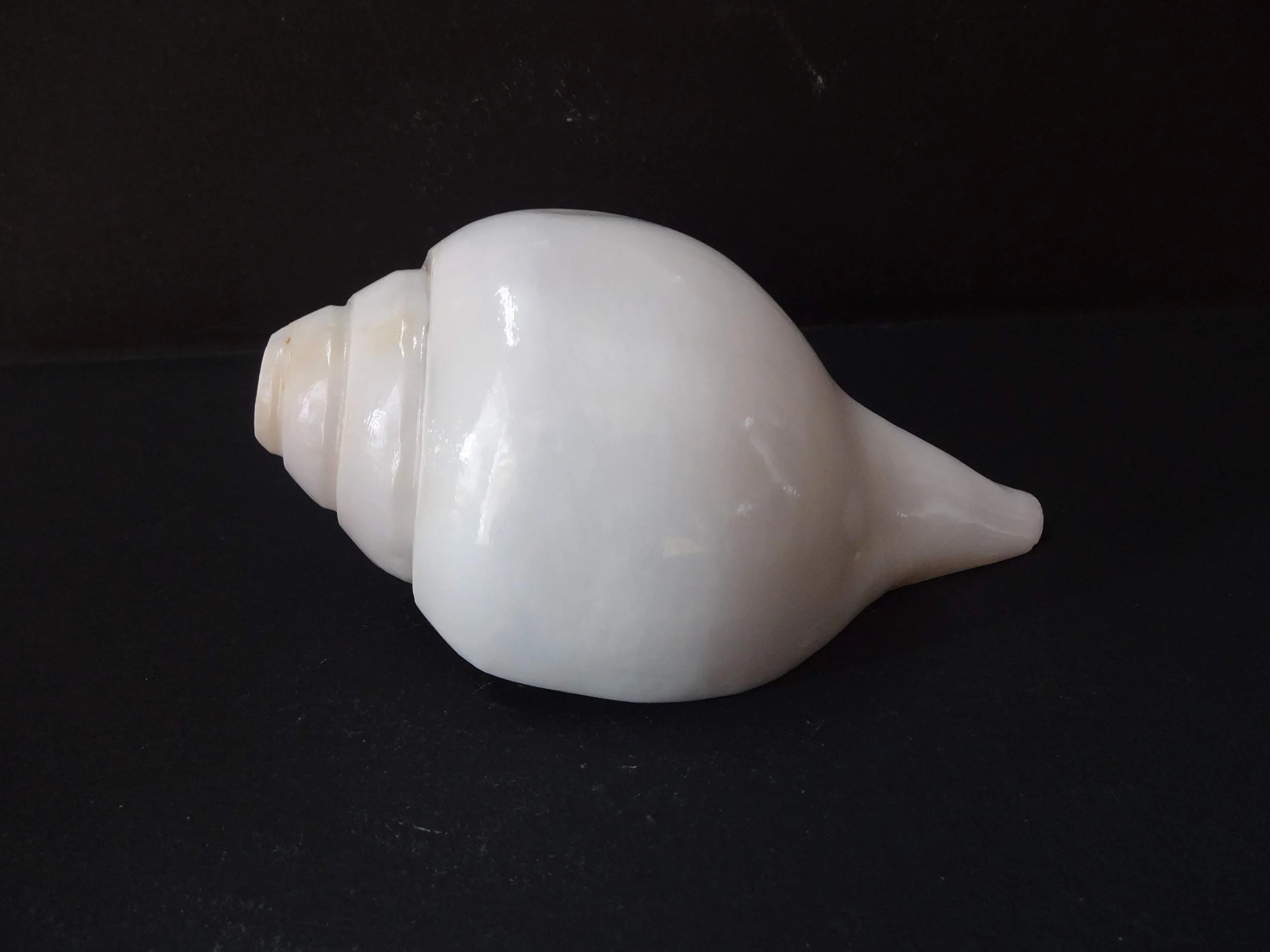 Shankh de soufflage VAMAVARTI BAJEWALA 6 pouces blanc Coquille de conque fort et grand