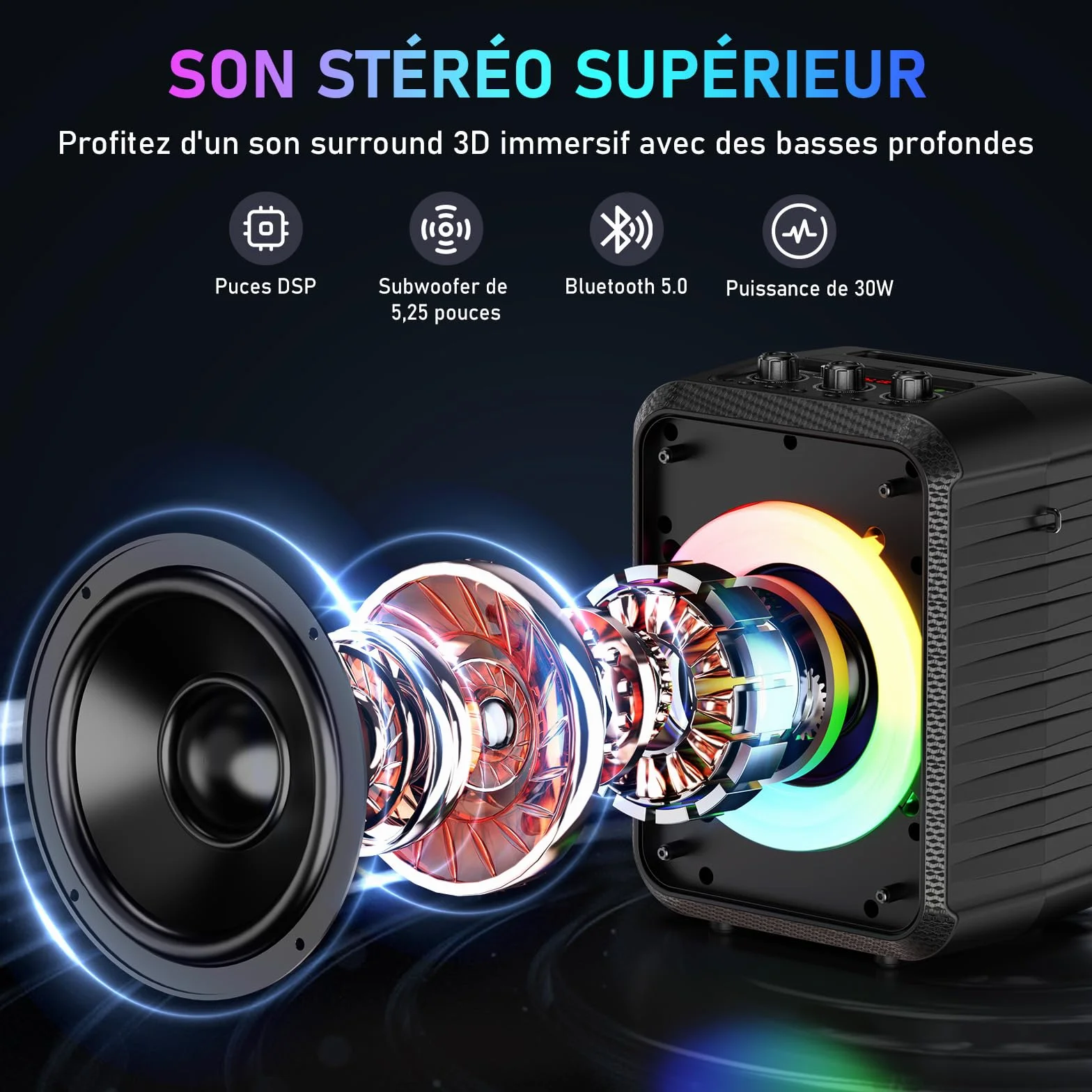 Enceinte Karaoke 120W 2 Micros sans Fil Bluetooth Portable avec Lumières LED