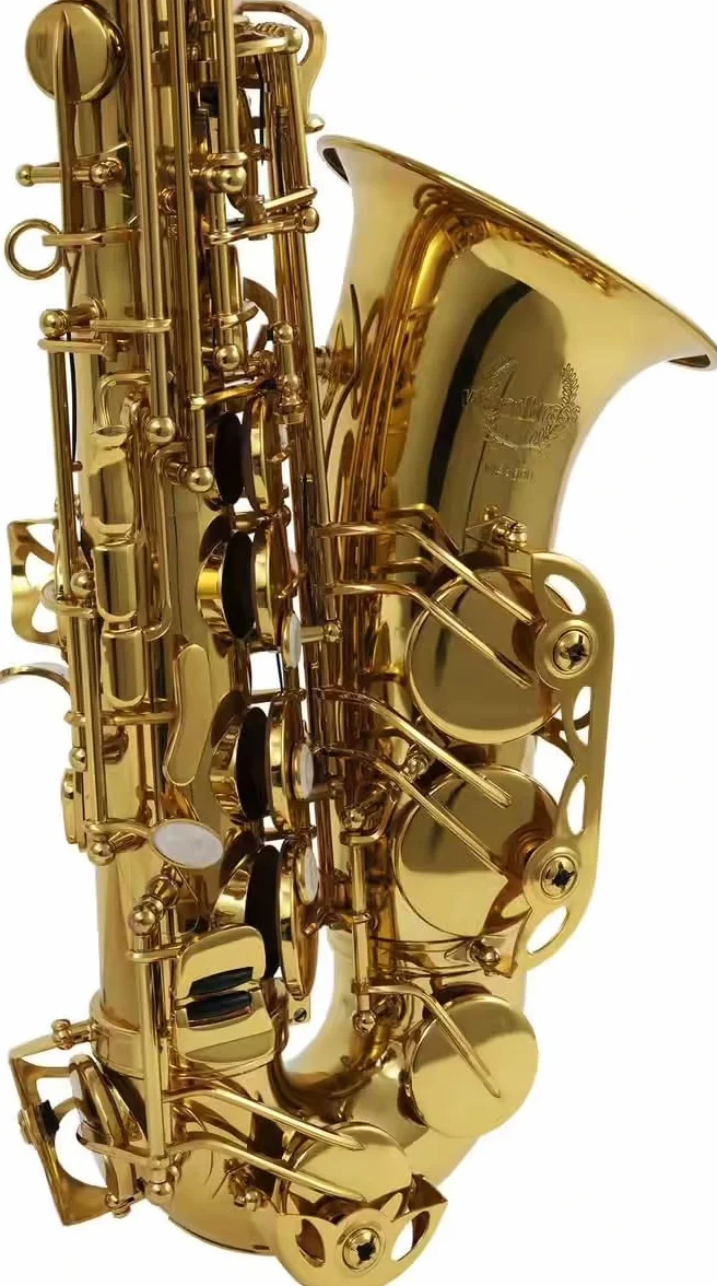 Woodbrass WSA300 Saxophone Alto Mi♭ Verni Laiton Verni Instrument à vent Débutant Prêt à Jouer Étui Accessoires Inclus