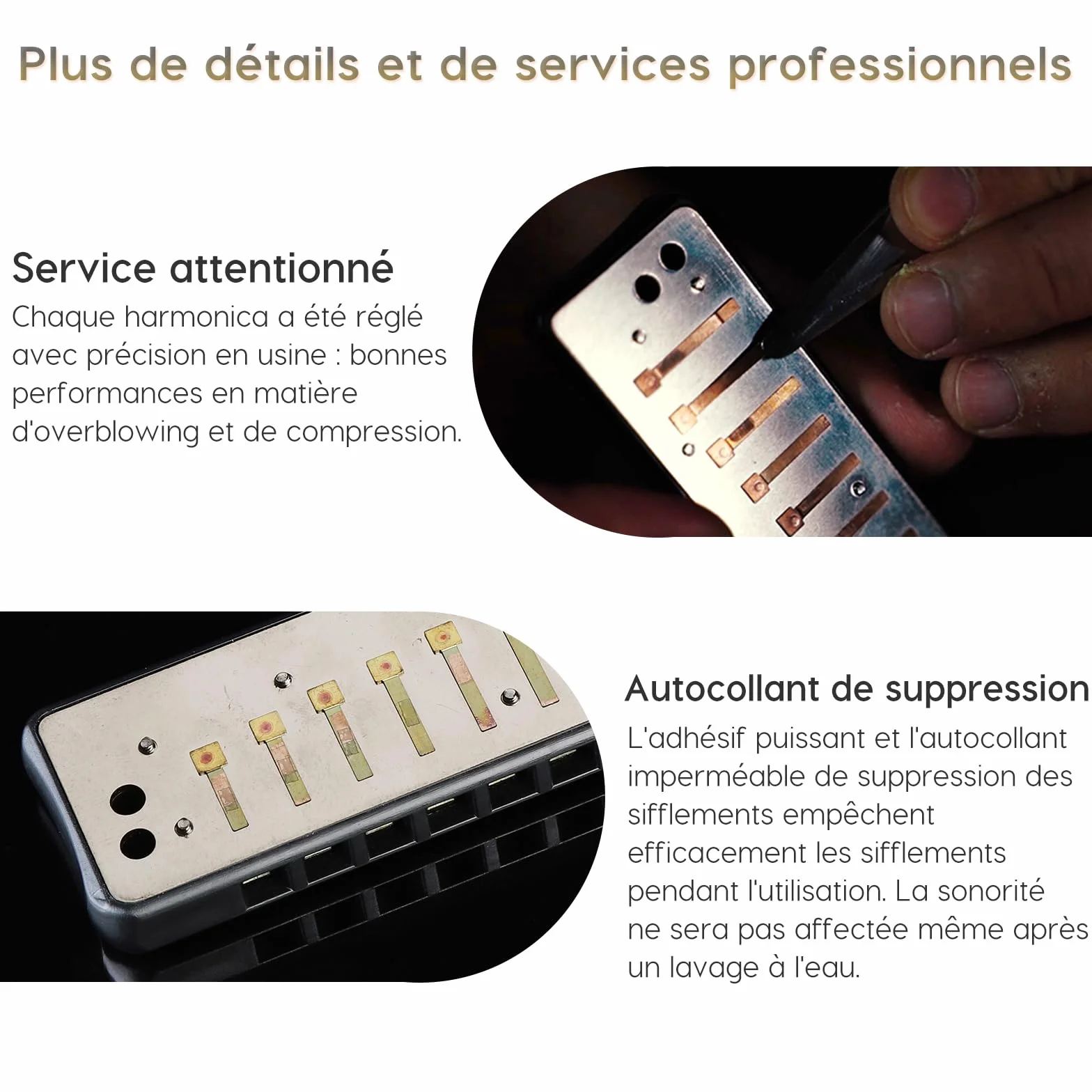 JDR Harmonica Clé de C 10 Trous 20 Tonalités pour Adultes Enfants Professionnels Débutants avec Etui