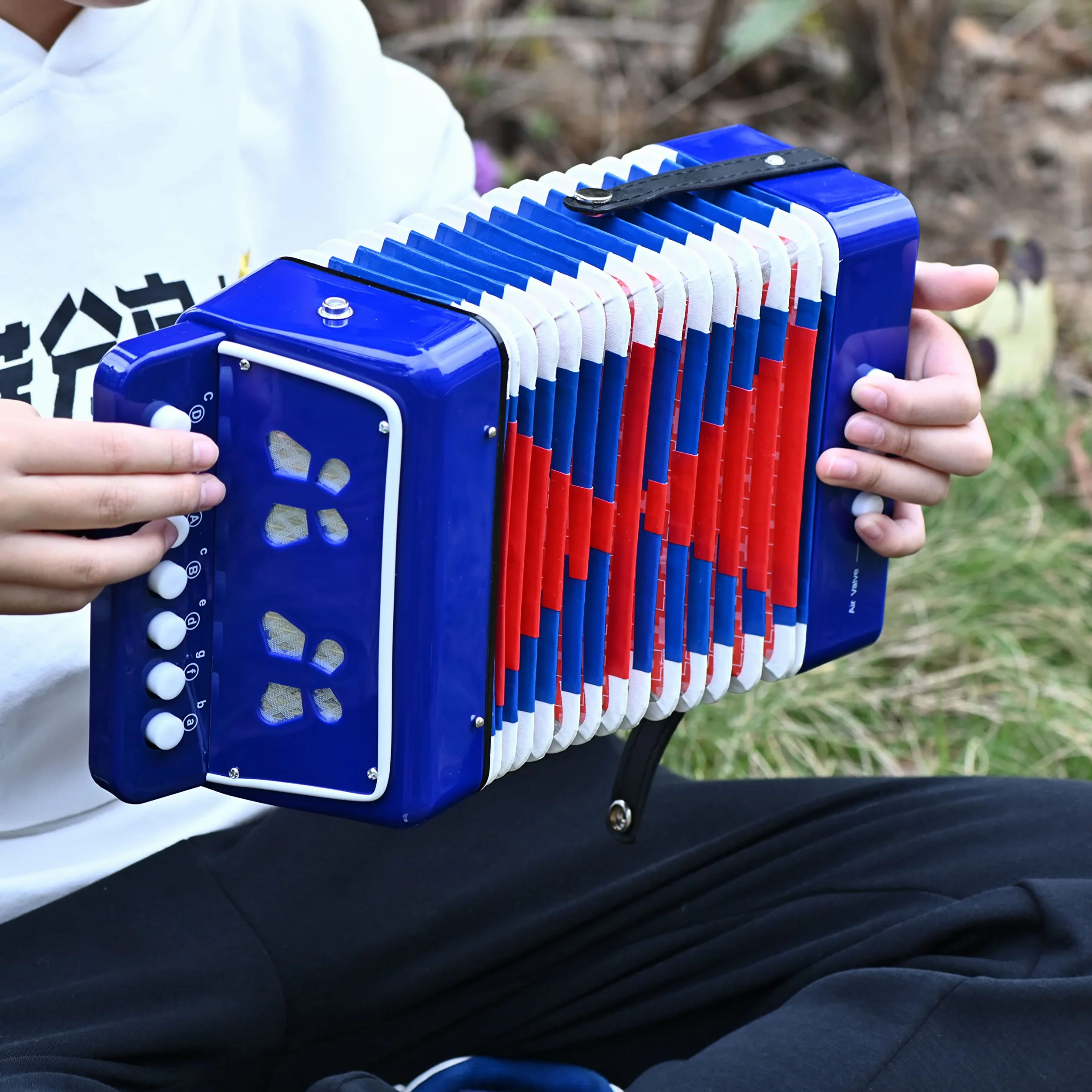Accordéon 10 boutons soufflet bleu instrument de musique enfant adulte débutant
