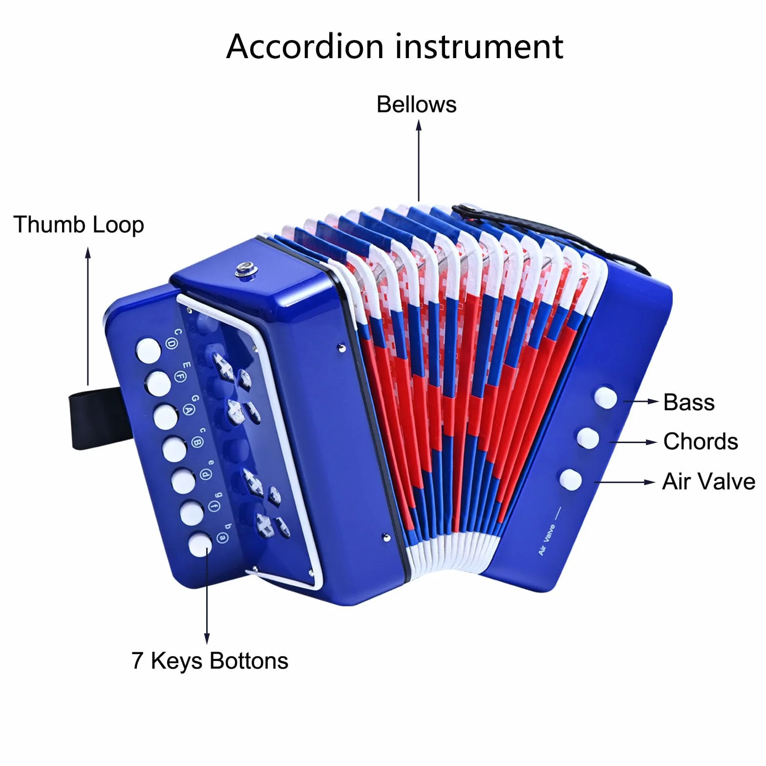 Accordéon 10 boutons soufflet bleu instrument de musique enfant adulte débutant