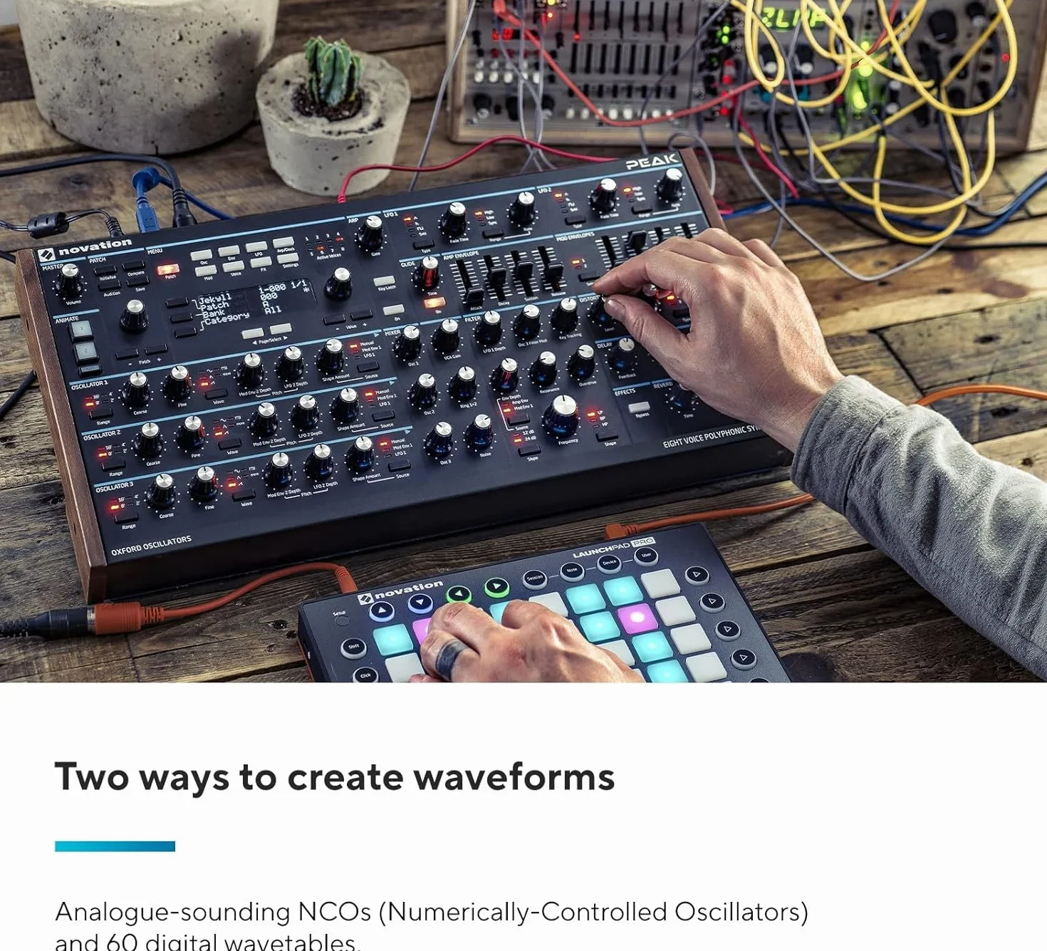 Novation Peak Synthétiseur polyphonique 8 voix desktop