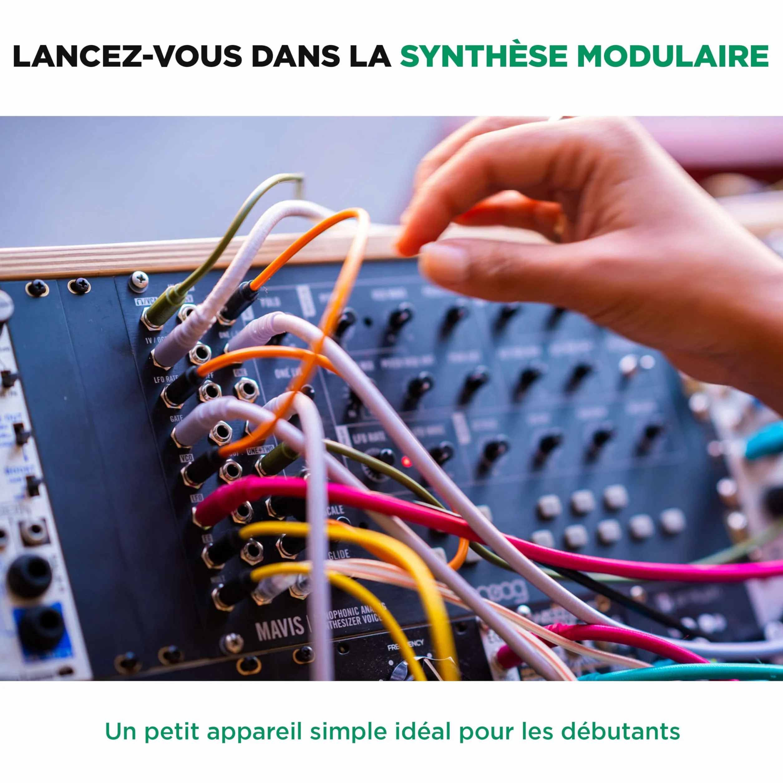 MOOG Mavis Synthétiseur Analogique Autonome Semi-Modulaire avec Clavier