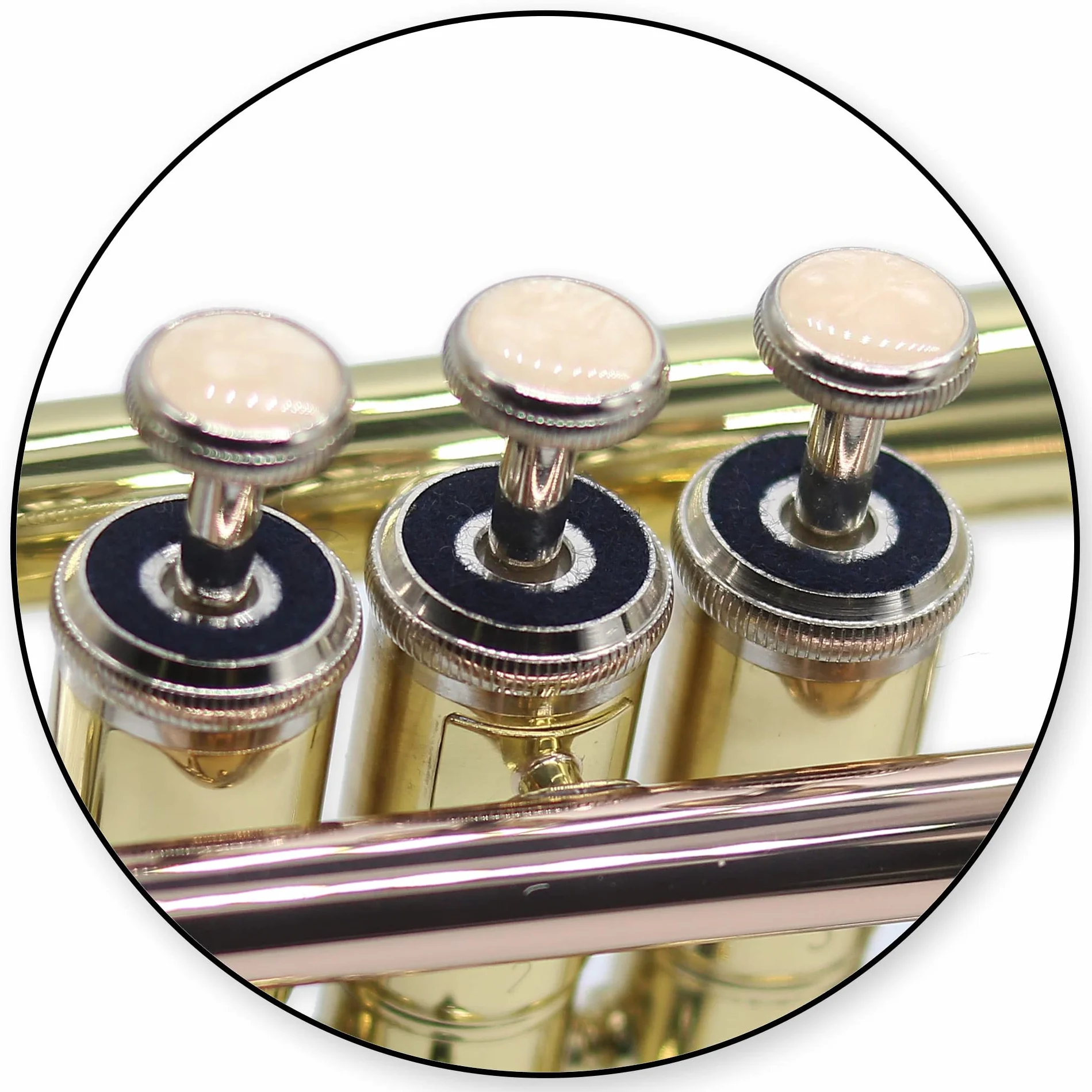 Trompette en sib TTR-171 laiton avec étui et accessoires Trumpet Basics