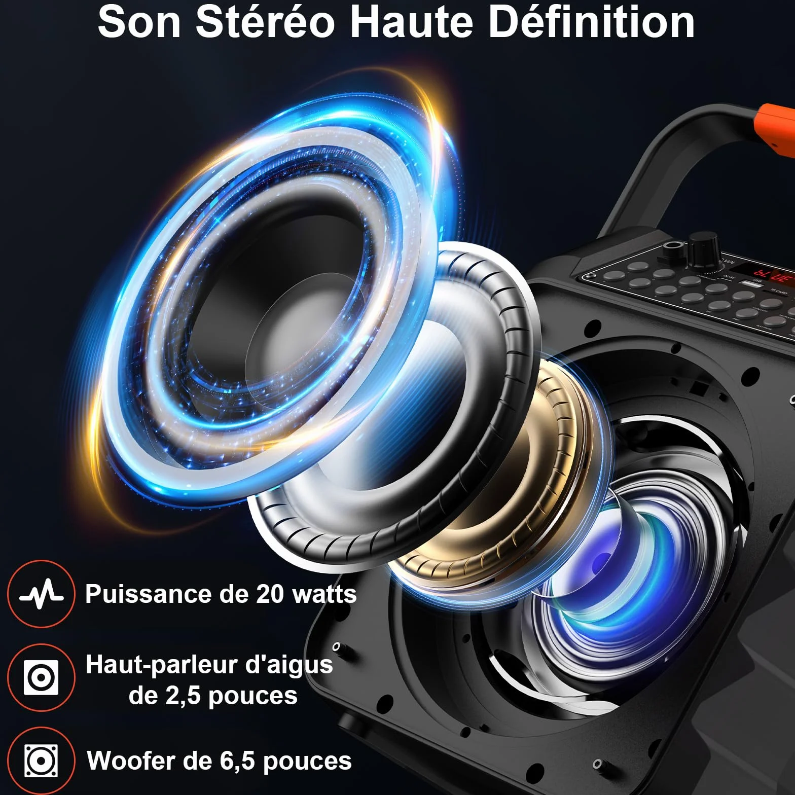 Karaoke Adulte Bluetooth 5.3 avec 2 Microphones, 80W Enceinte Portable LED