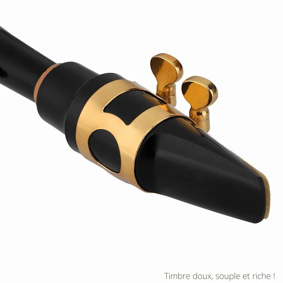 Saxophone Alto en laiton laqué doré, clé 82Z, avec accessoires