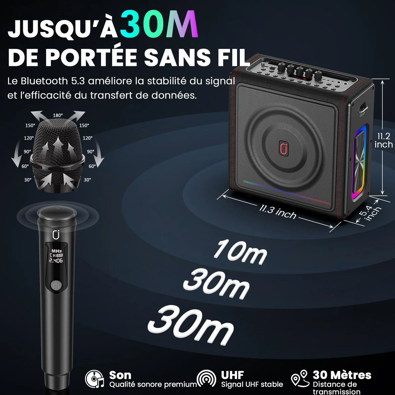 Machine Karaoke sans Fil 300W avec 2 Micros, LED, Autonomie 36h, Système PA TF/USB FM