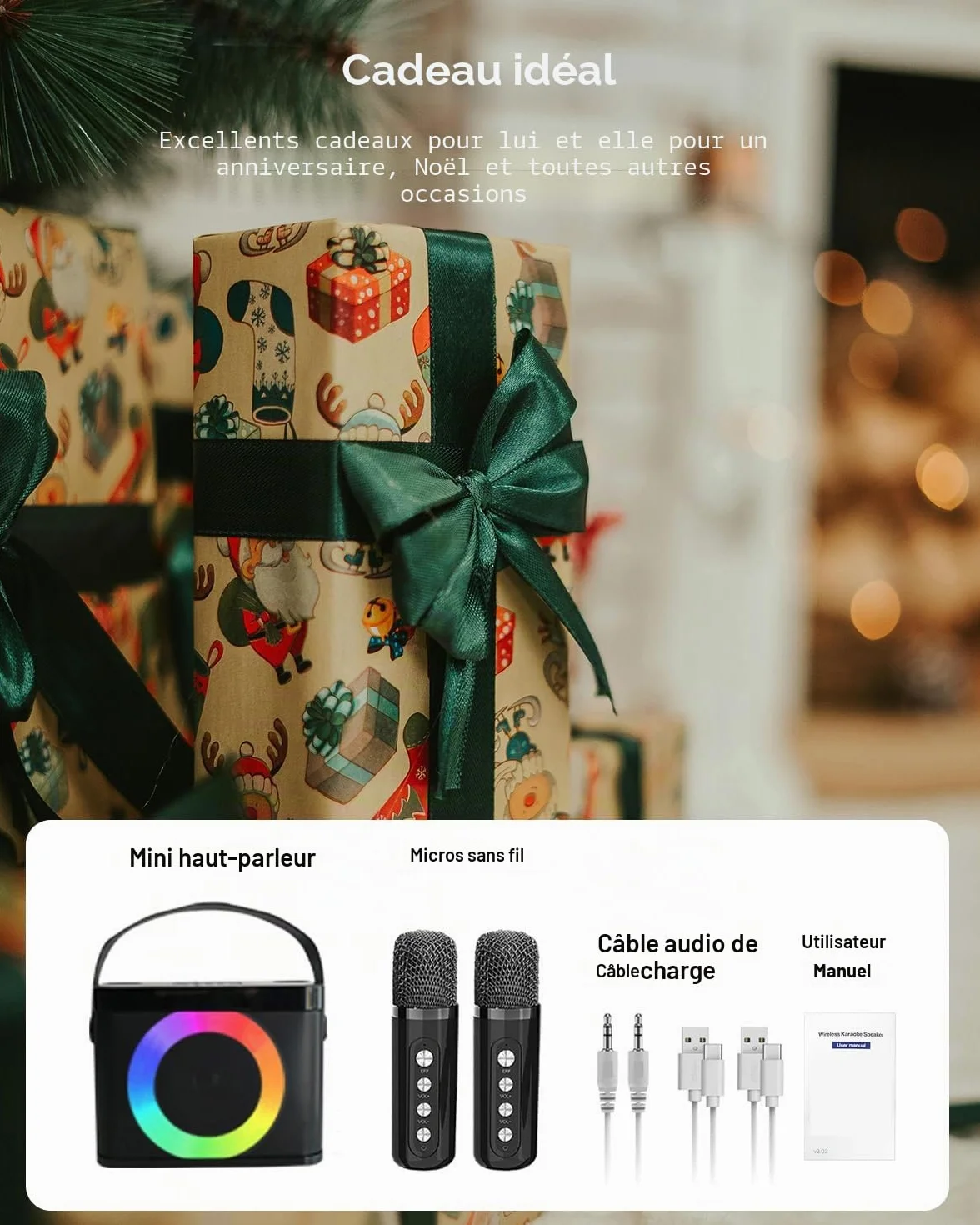 Enceinte Karaoké Professionnelle Adulte 2 Micros sans Fil Portable avec Lumières BT/AUX/USB/TF