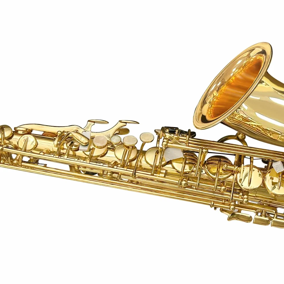 Saxophone Alto Mi Bémol pour débutants adultes kit complet avec étui rigide et accessoires