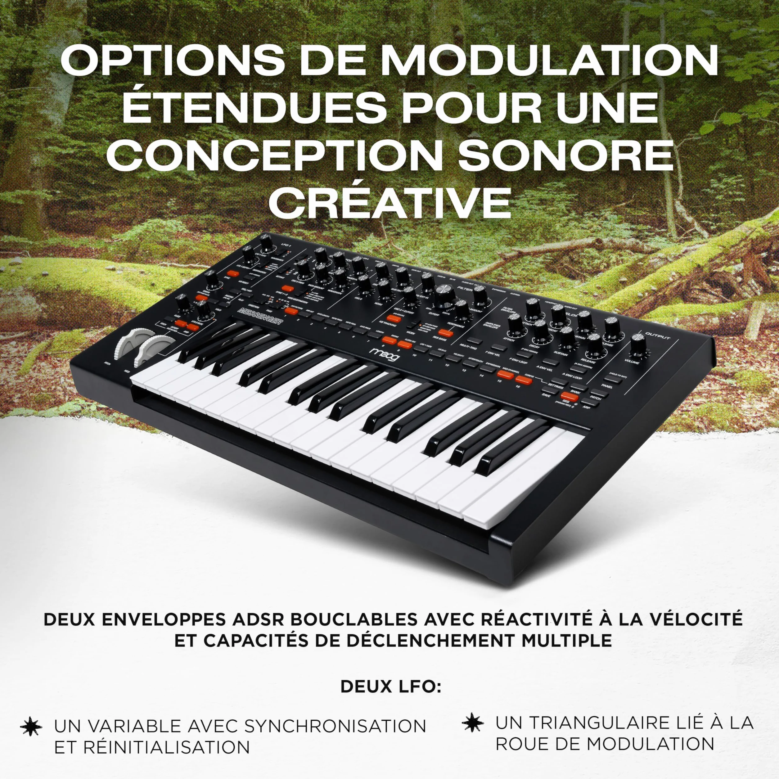 MOOG Messenger Synthétiseur Monophonique Analogique 32 Touches Séquenceur 64 Pas