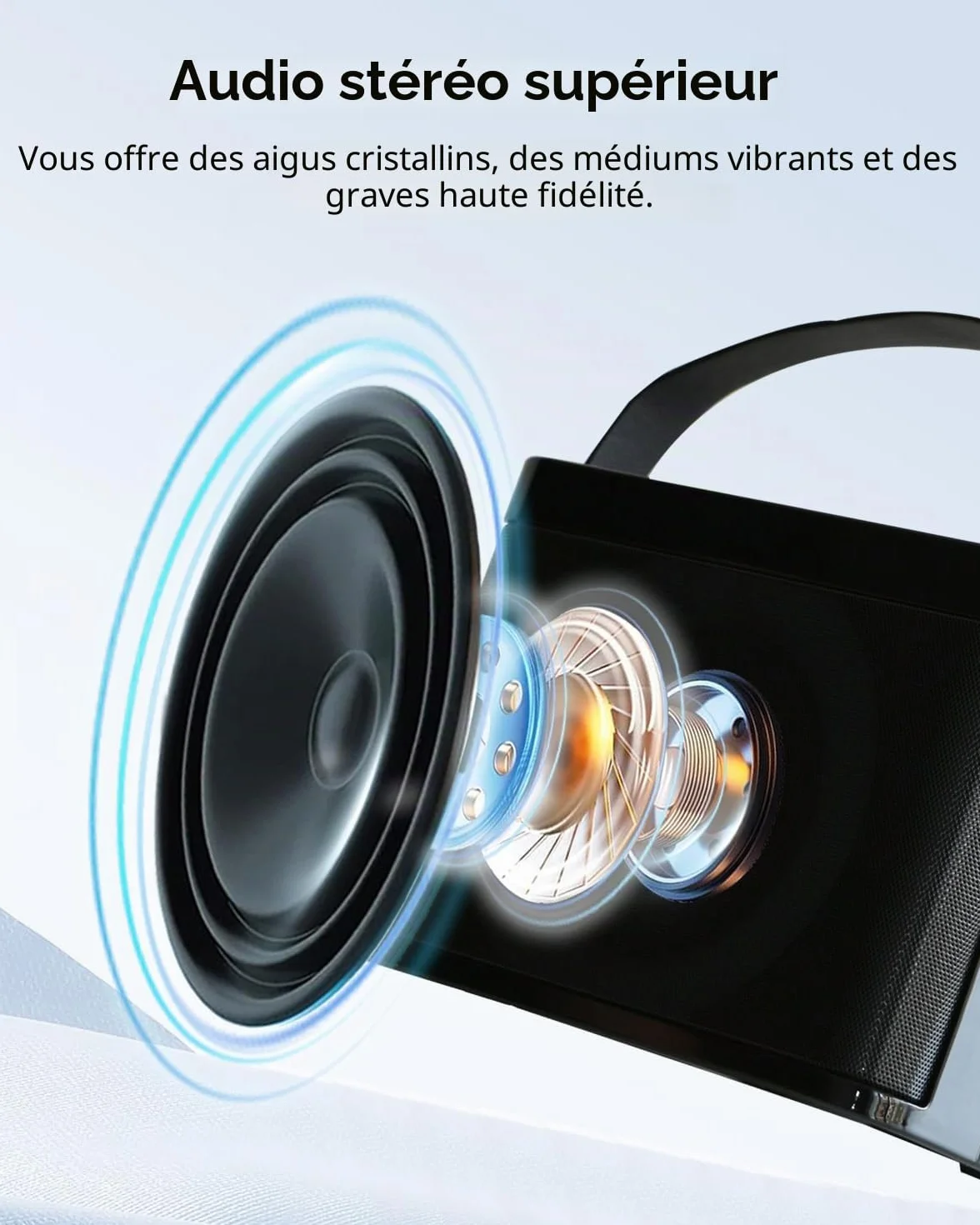 Enceinte Karaoké Professionnelle Adulte 2 Micros sans Fil Portable avec Lumières BT/AUX/USB/TF