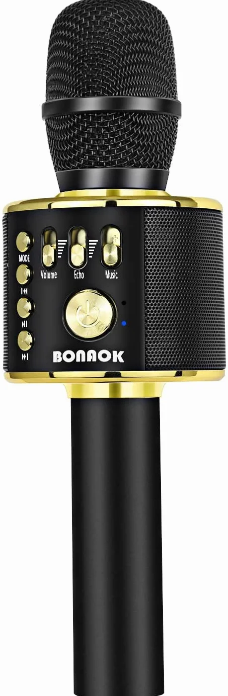 BONAOK Microphone sans Fil Karaoké Bluetooth Lecteur Enregistreur Mini Noir