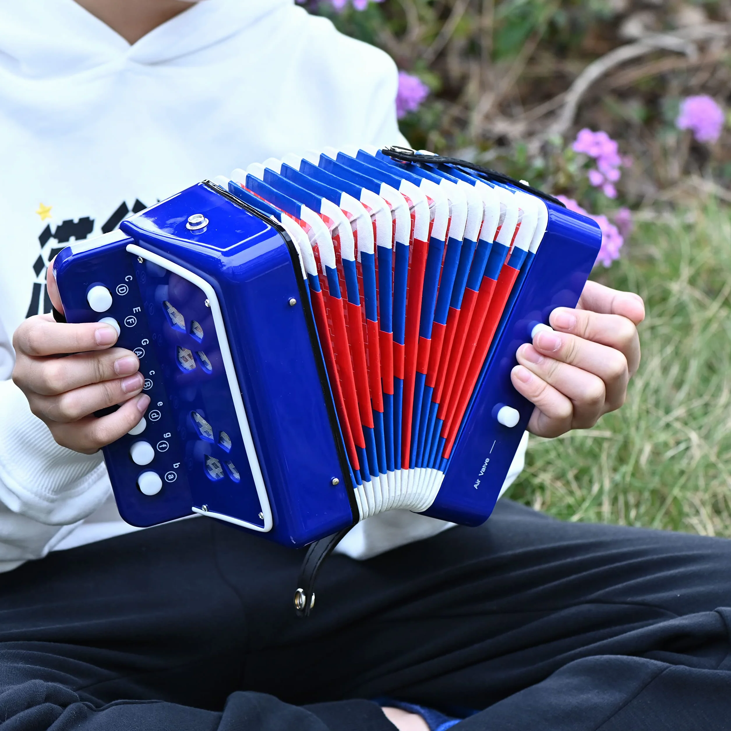 Accordéon 10 boutons soufflet bleu instrument de musique enfant adulte débutant