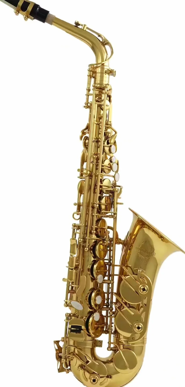 Woodbrass WSA300 Saxophone Alto Mi♭ Verni Laiton Verni Instrument à vent Débutant Prêt à Jouer Étui Accessoires Inclus