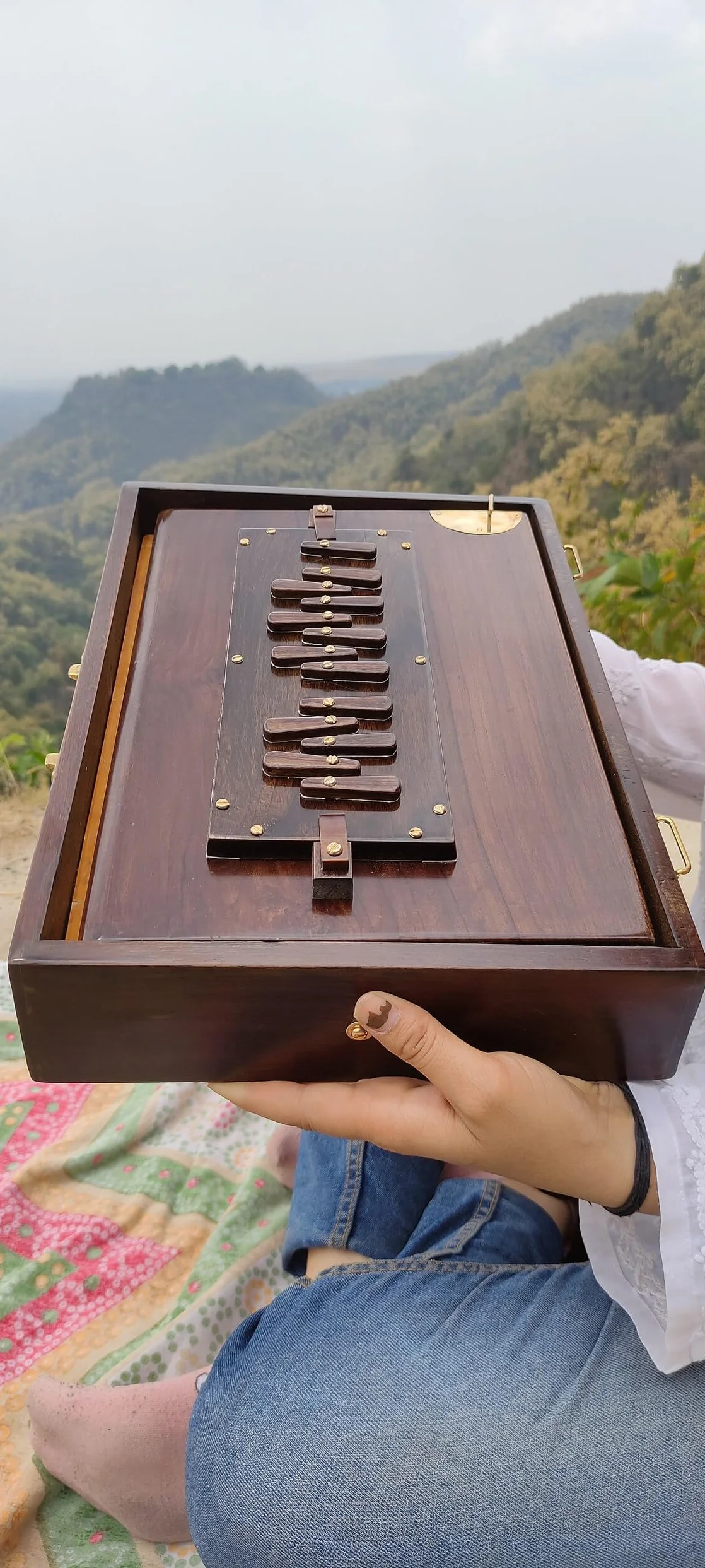 Boîte Shruti 440 Hz bois de teck instrument indien sac de transport rembourré 432 Hz sur demande