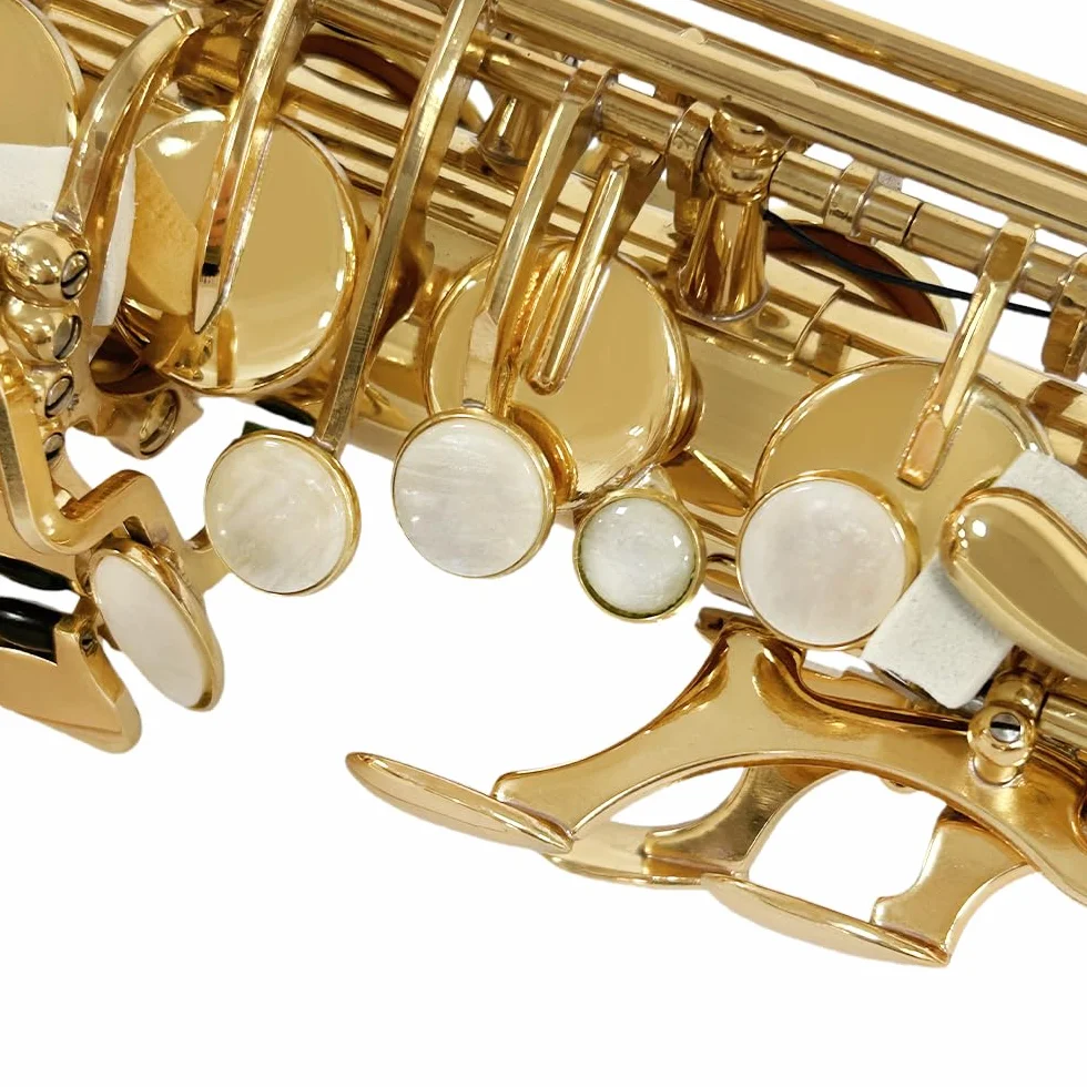 Saxophone Alto Mi Bémol pour débutants adultes kit complet avec étui rigide et accessoires