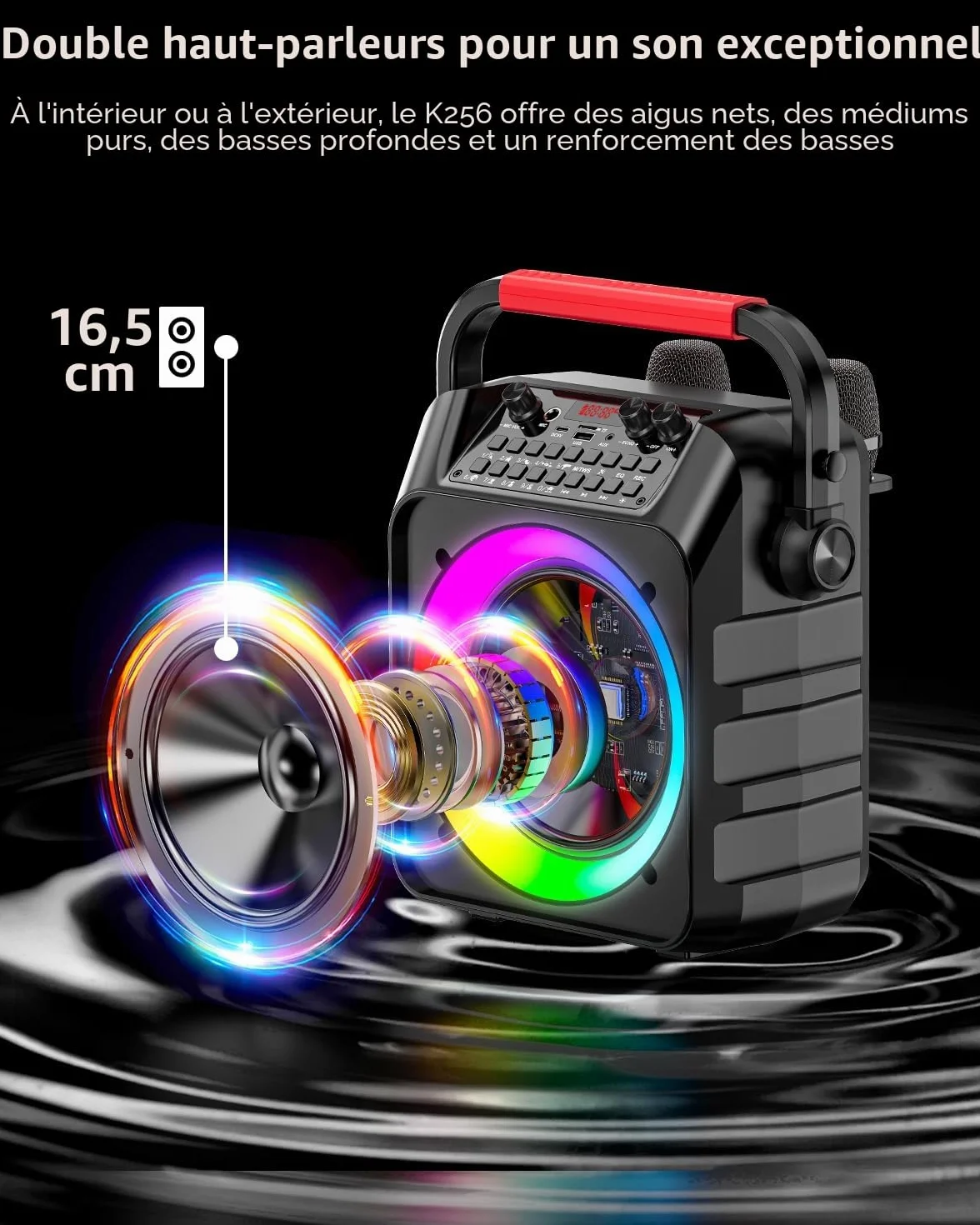 Machine karaoké pour Adultes Enceinte Bluetooth Portable 2 Microphones Professionnel LED USB TF AUX MIC TWS
