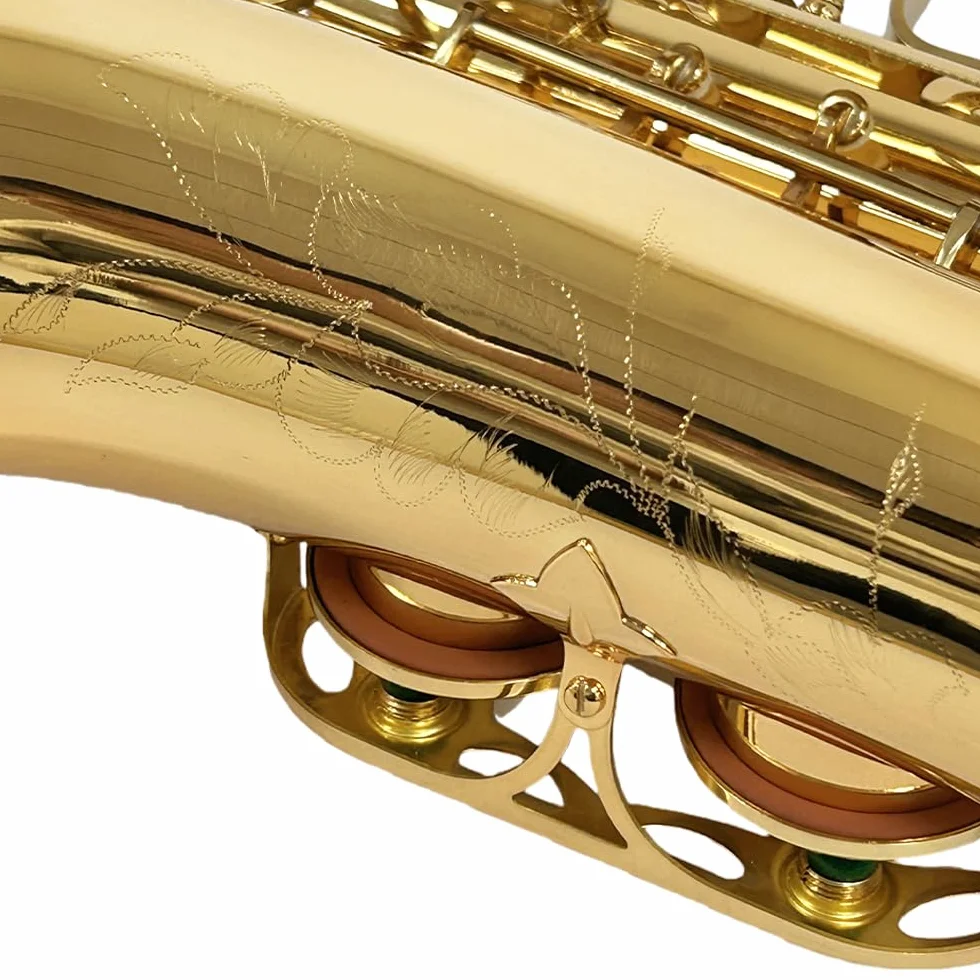 Saxophone Alto Mi Bémol pour débutants adultes kit complet avec étui rigide et accessoires