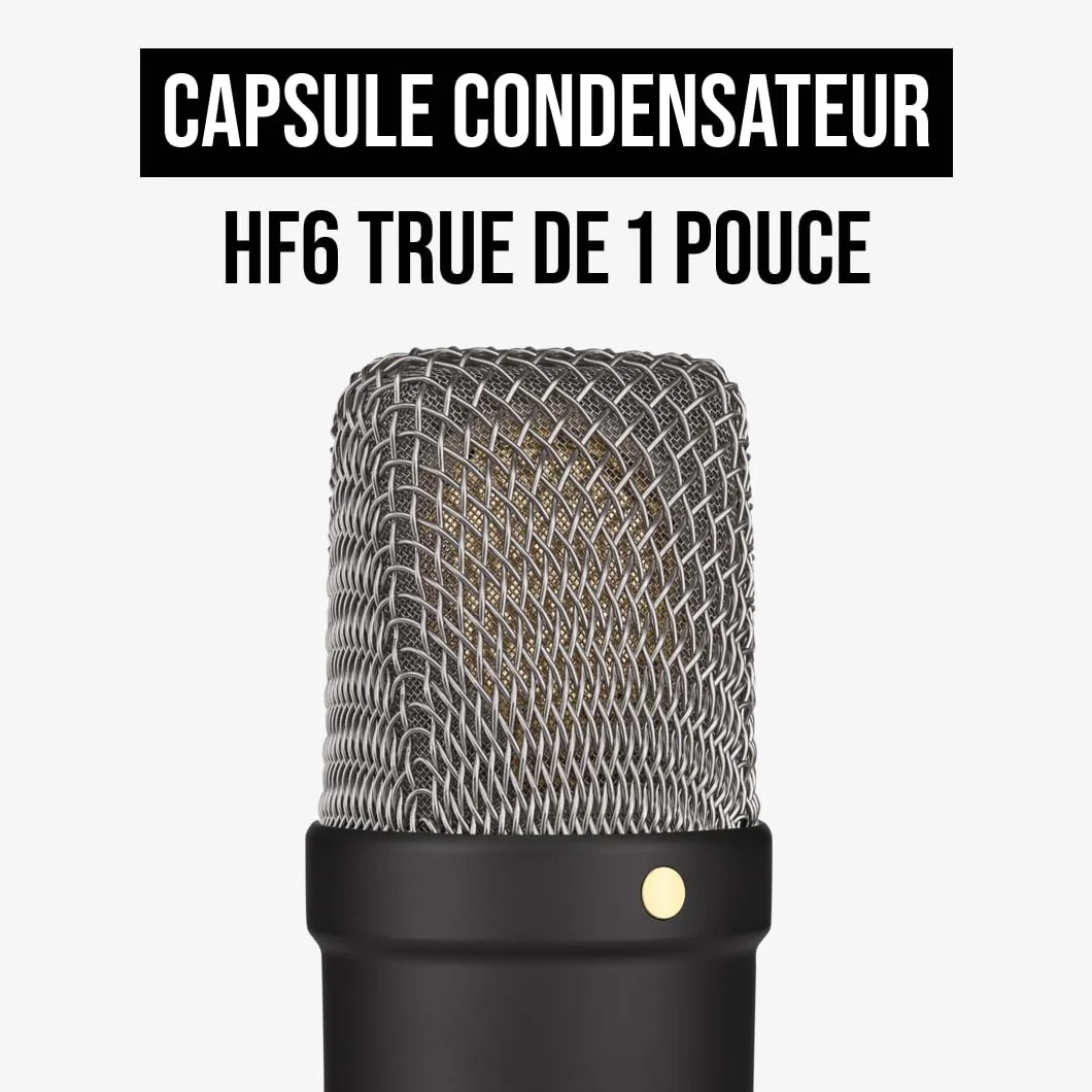 RØDE NT1 Signature Microphone à Condensateur Large Diaphragme avec Suspension, Filtre Anti-Pop et Câble XLR, Noir